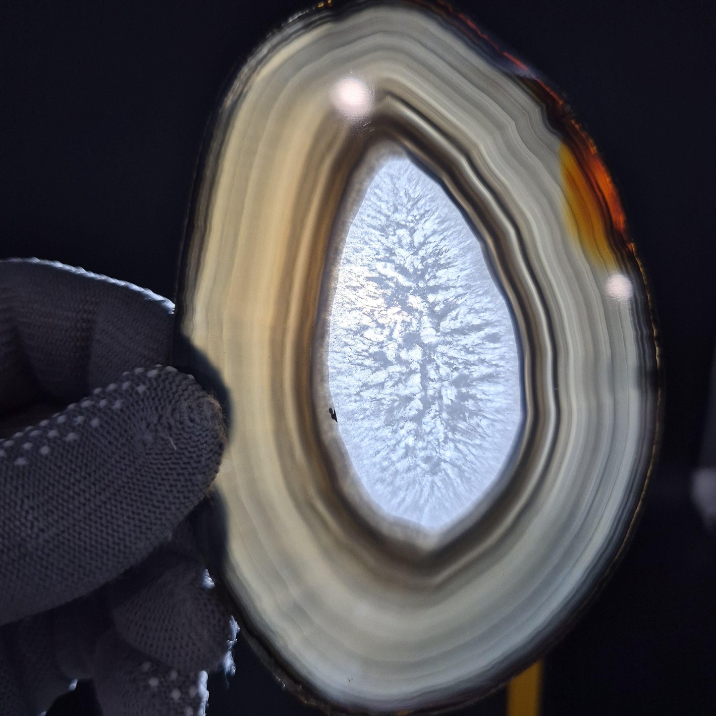 AAA+ Translucent Agate Slices with Quartz - Brazil | Set of 5 | 5x3in Natural Druzy | 1.04 lbs Crystal Hoarder