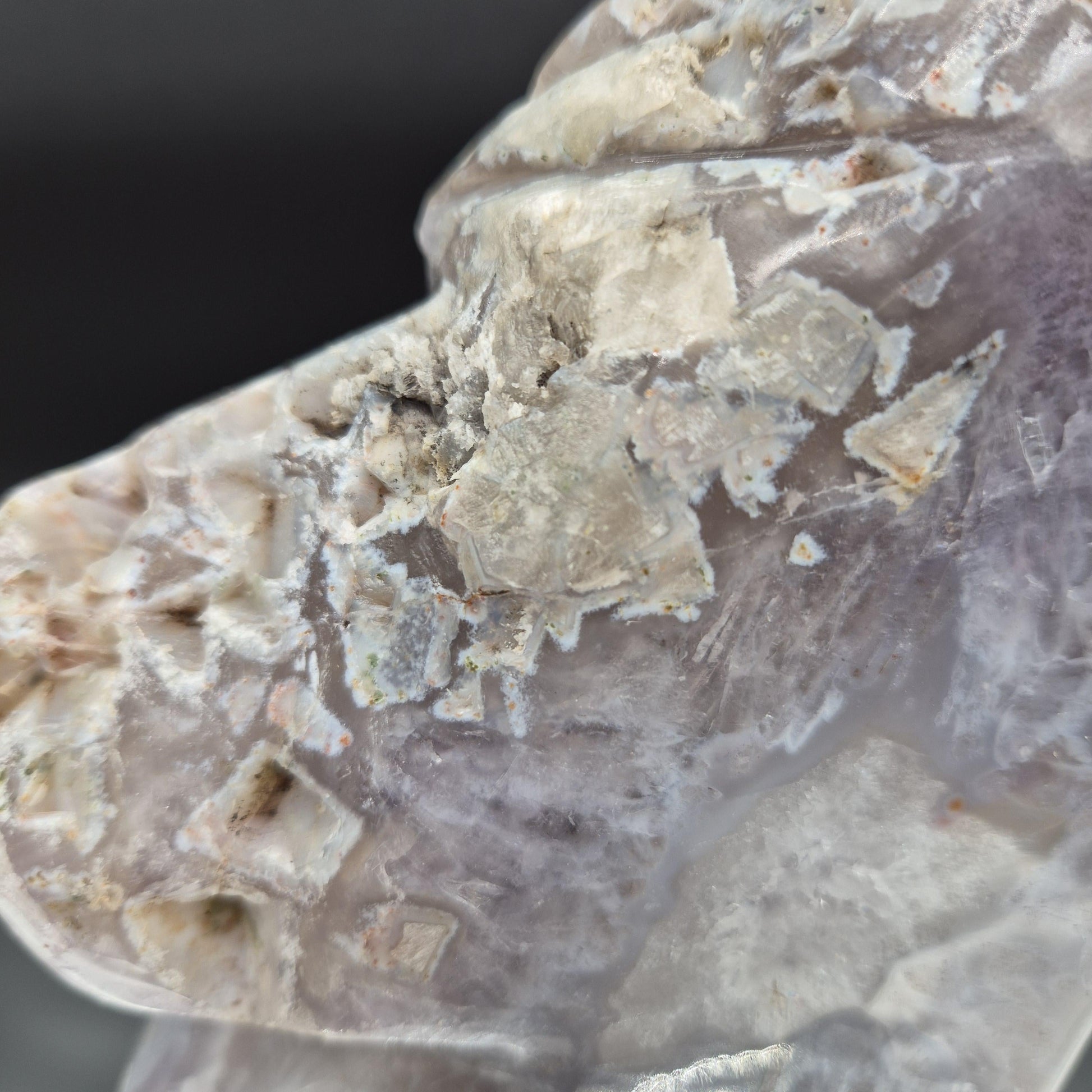 AAA+ Hand Carved Amethyst Horse - Brazilian Amethyst Sculpture - 3.77 lbs, 7 x 5in - Natural Crystal Carving Crystal Hoarder