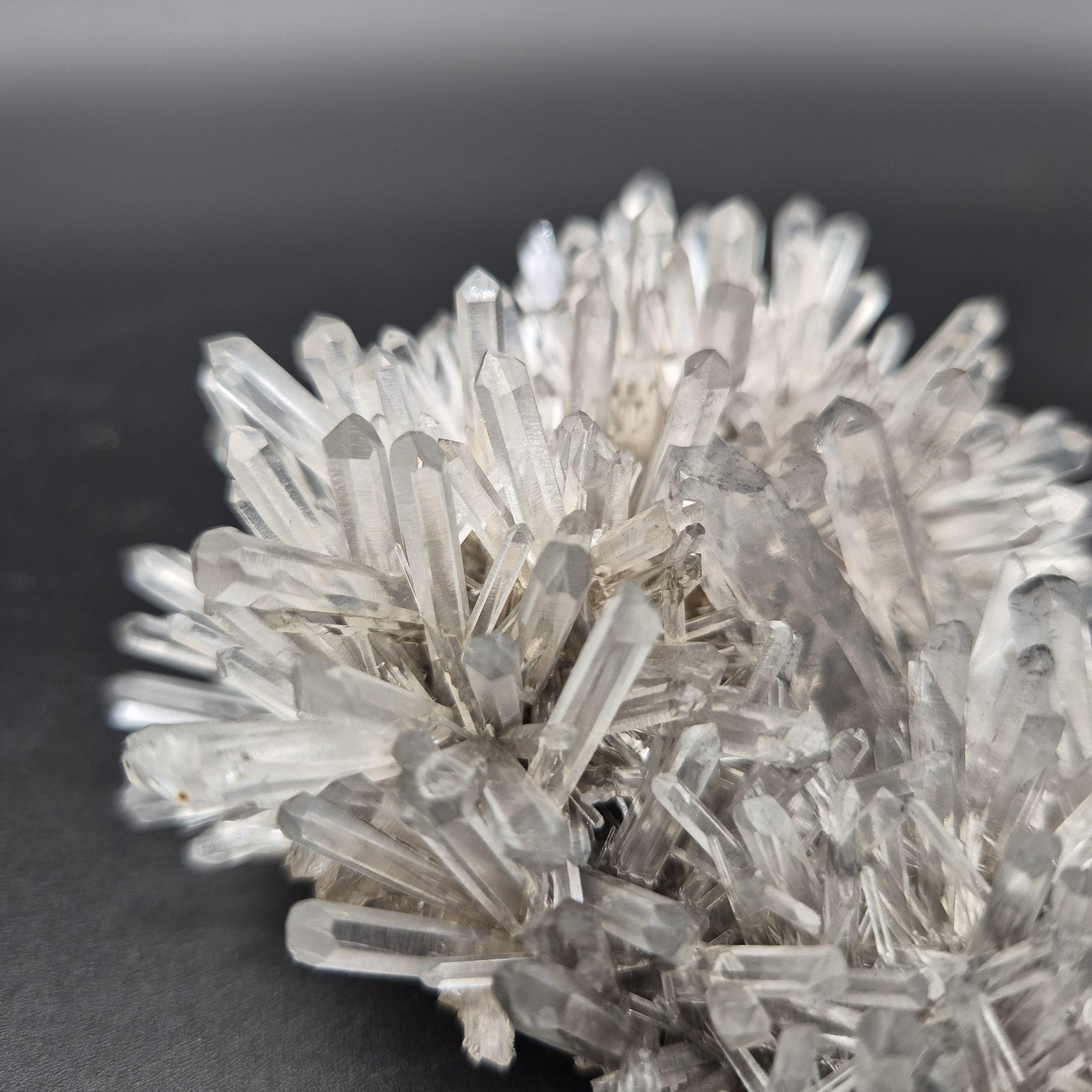 Rare DOW Chrysanthemum Lemurian Quartz Cluster with Pyrite Colombia 0.81 lbs Crystal Hoarder Crystal Hoarder