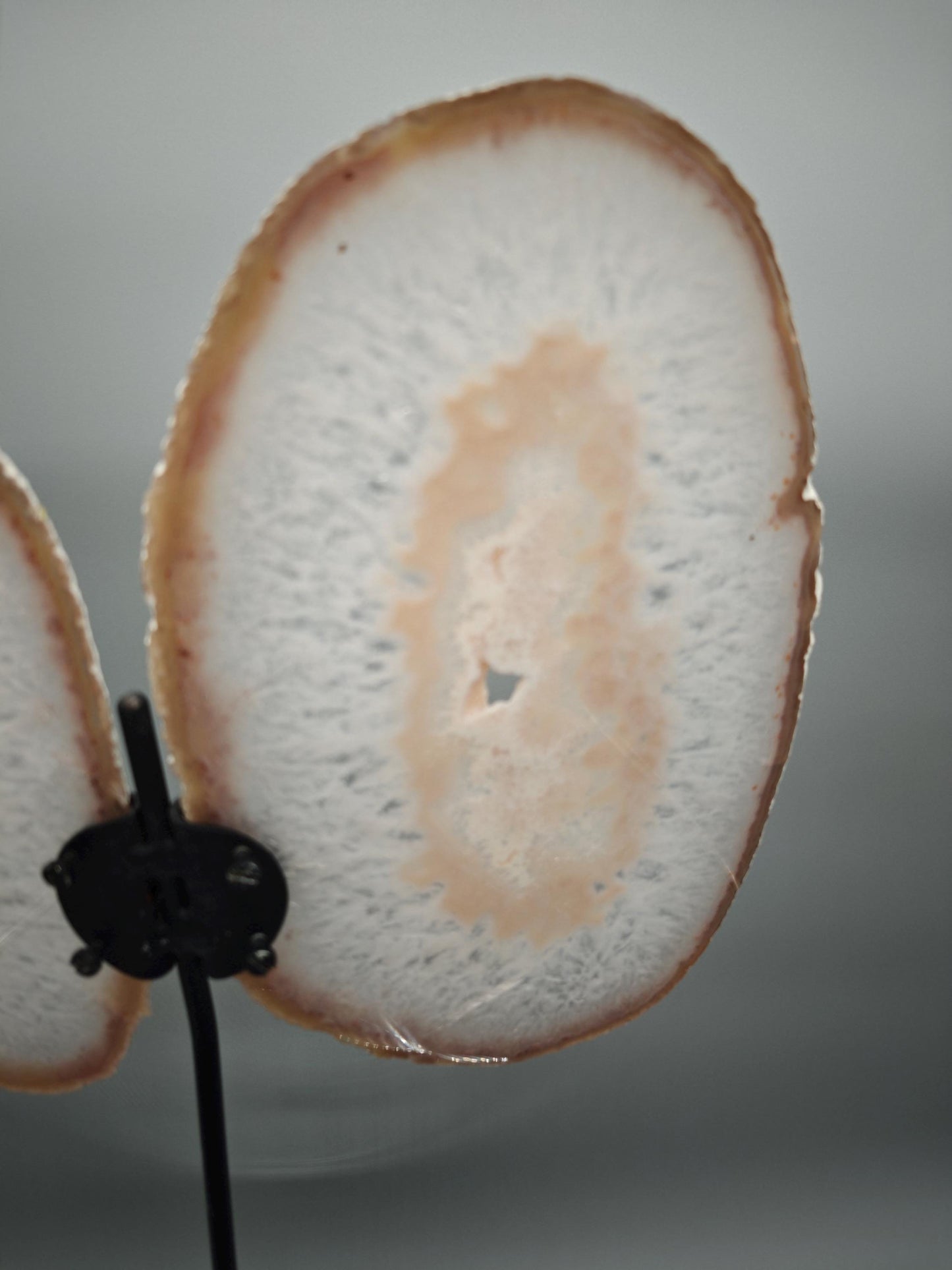 Extra Large Agate Butterfly Wings with Druzy - Backlit Brazilian Agate Display - 18in Crystal Wings Statement Piece - 4.32 lbs Crystal Hoarder