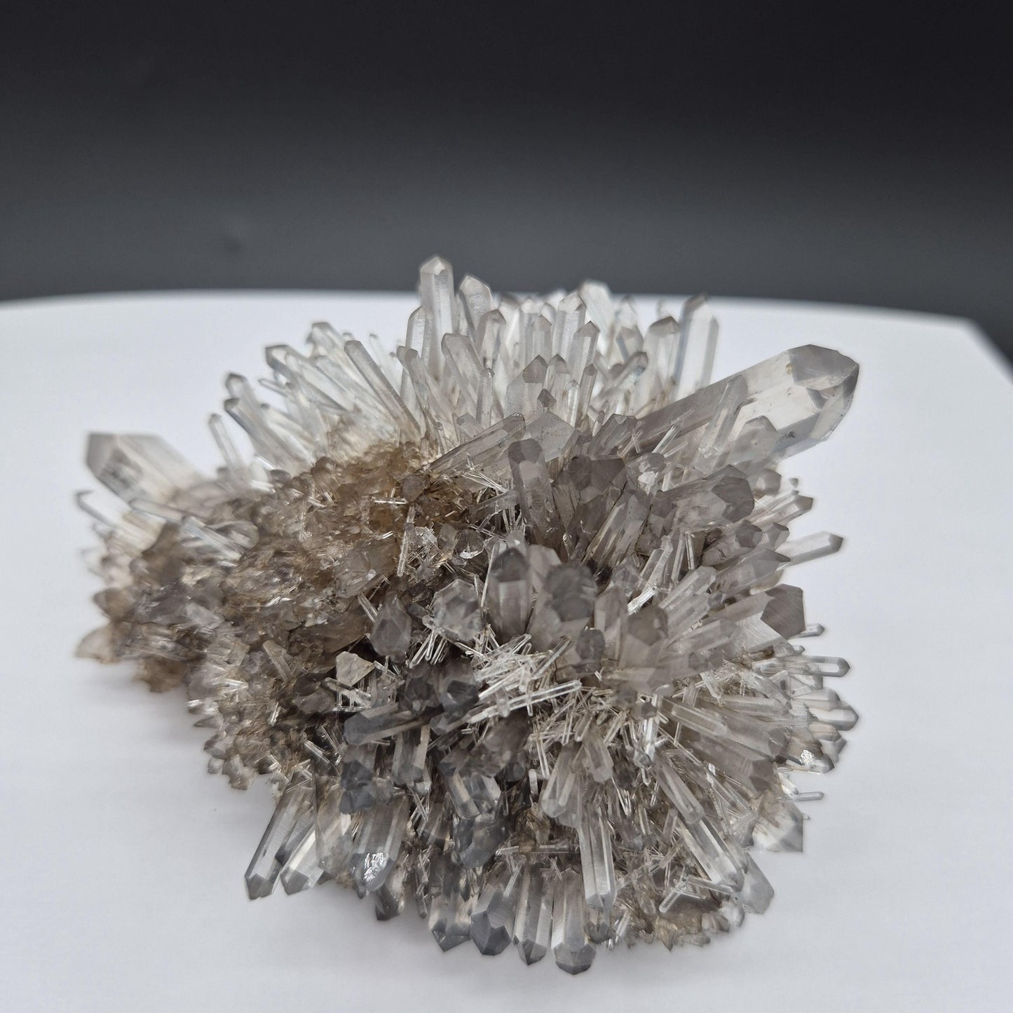 Rare AAA+ Temple Heart Starburst DOW Chrysanthemum Lemurian Quartz Cluster | Bolivar Mine Colombia | 1.28 lbs Crystal Hoarder