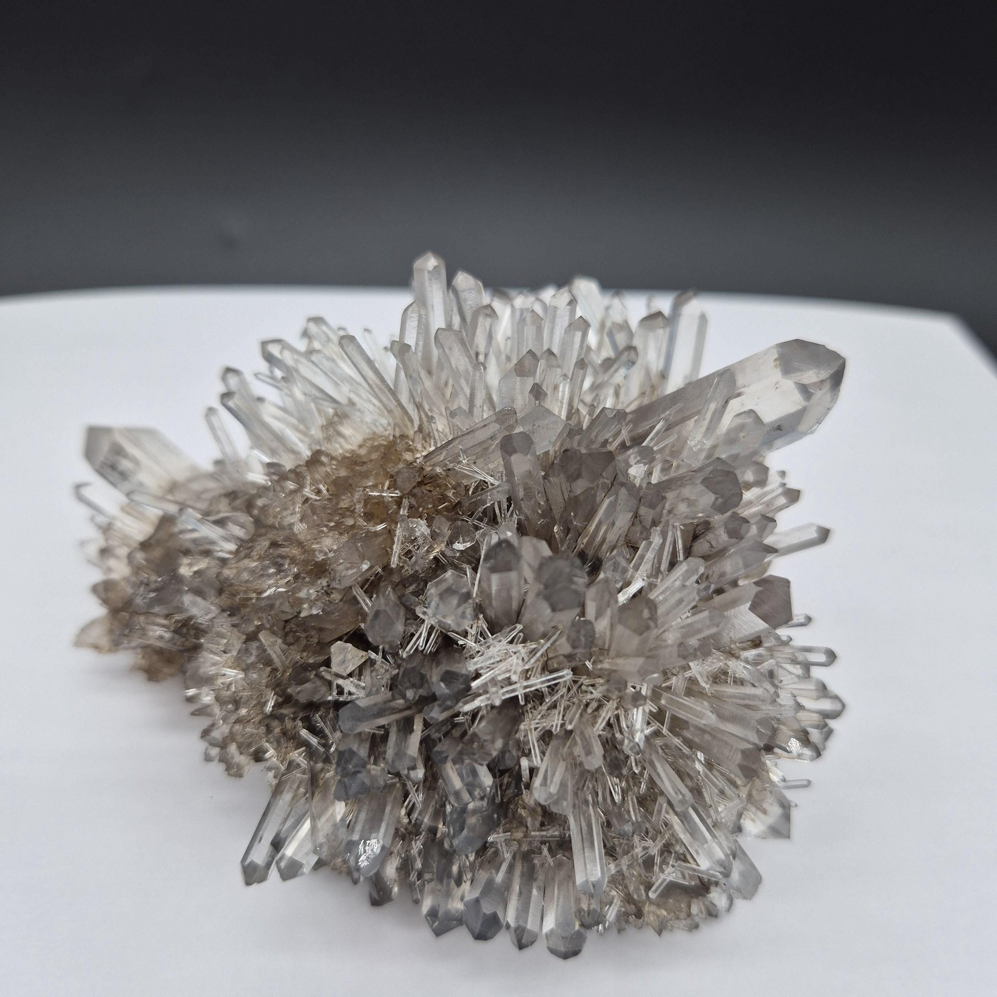 Rare AAA+ Temple Heart Starburst DOW Chrysanthemum Lemurian Quartz Cluster | Bolivar Mine Colombia | 1.28 lbs Crystal Hoarder
