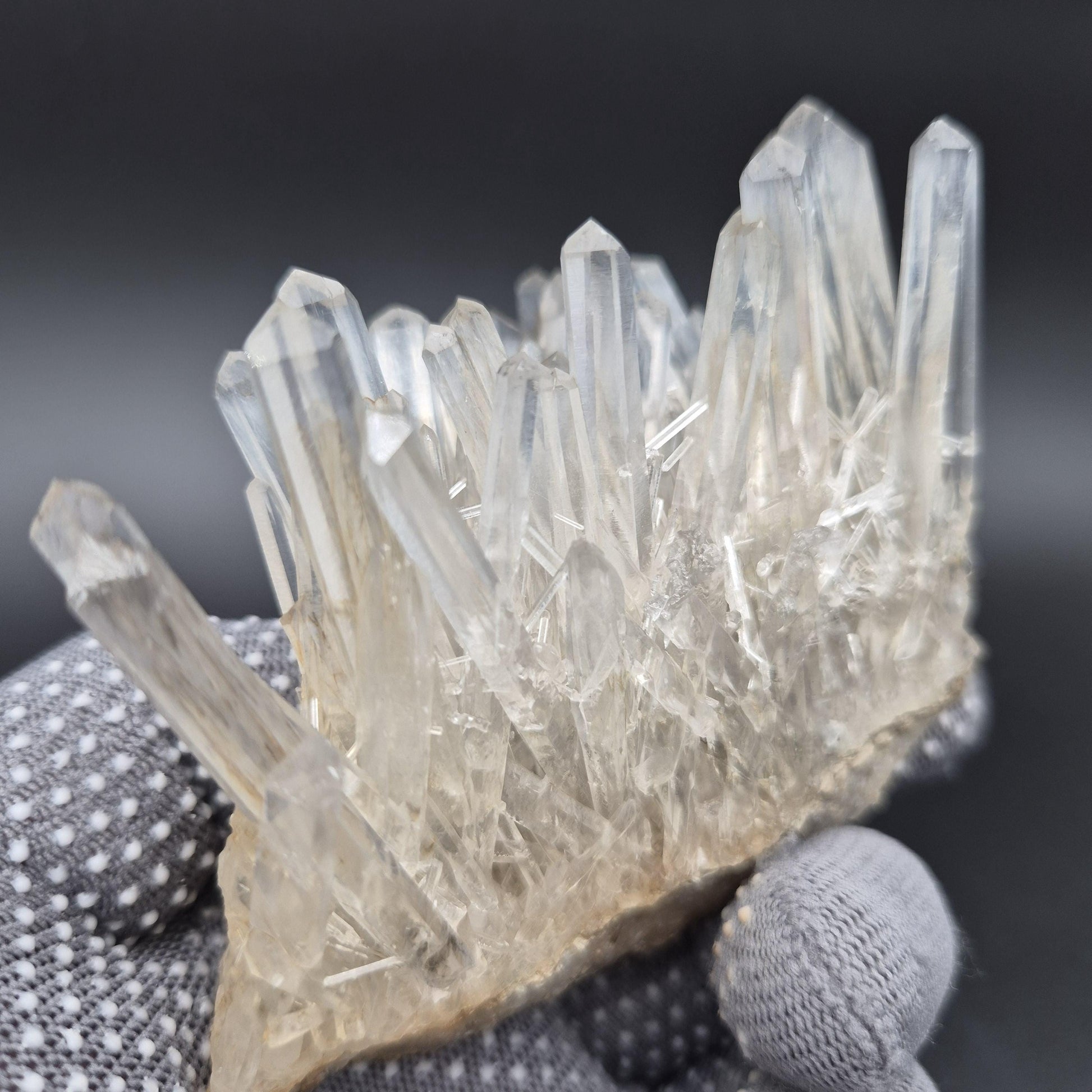 Rare AAA+ Temple Heart Starburst DOW Chrysanthemum Lemurian Quartz Cluster | Colombia | 9.28 oz Crystal Hoarder