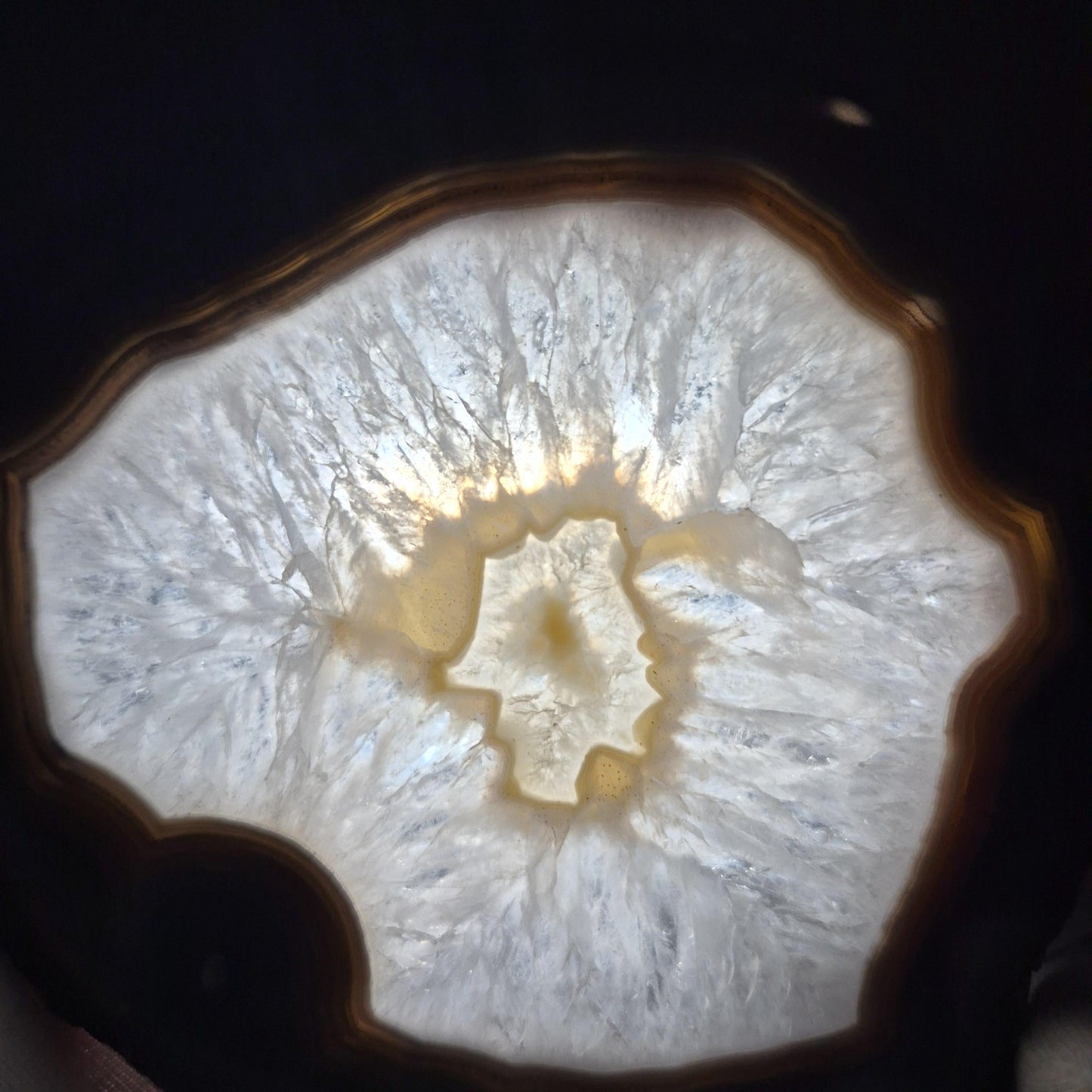 AAA+ Rare Agate Slice Set of 7 | 3.5-5in Large Quartz Crystal Centers | 2.44 lbs Natural Banded Agate | Collector Grade Statement Pieces Crystal Hoarder
