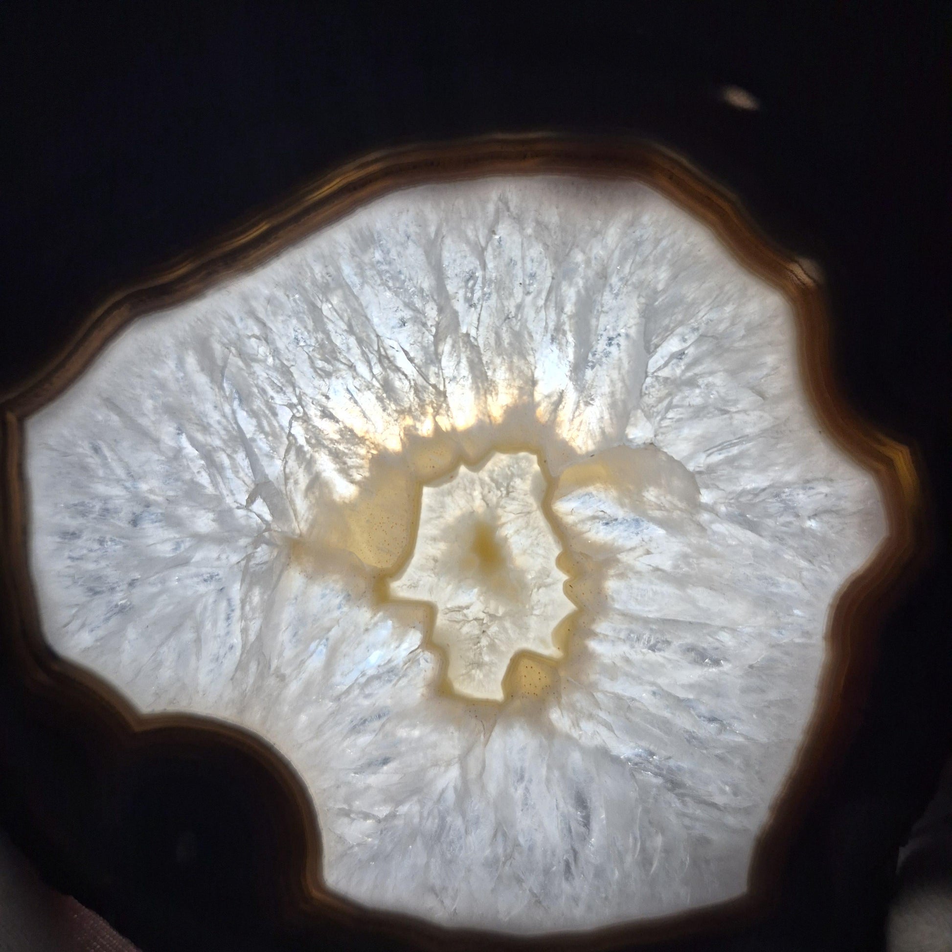 AAA+ Rare Agate Slice Set of 7 | 3.5-5in Large Quartz Crystal Centers | 2.44 lbs Natural Banded Agate | Collector Grade Statement Pieces Crystal Hoarder