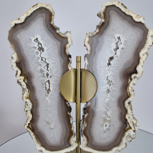 Banded Agate Druzy Butterfly Wings - Super Rare One-of-a-Kind - Brazil Crystal Hoarder