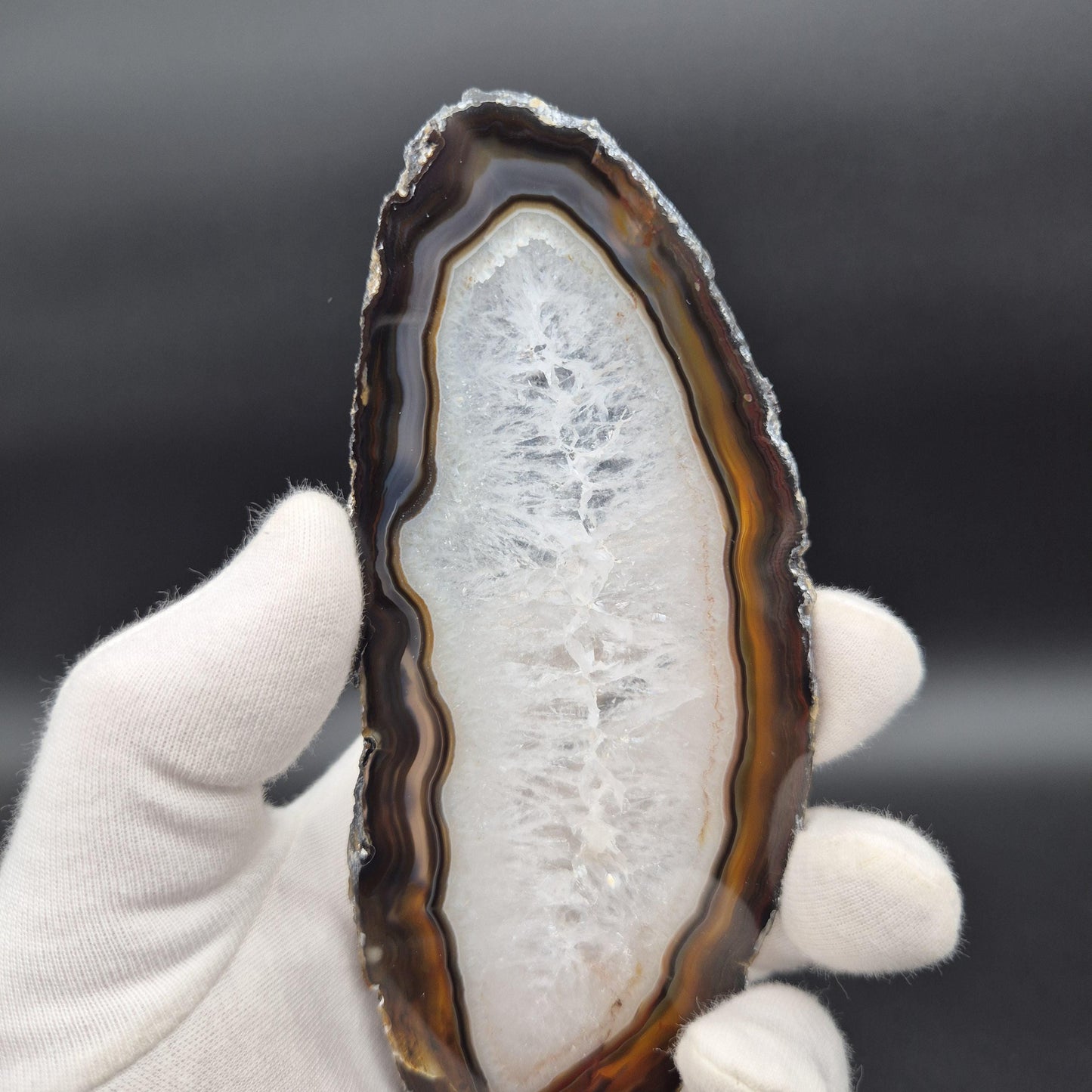Set of 3 Agate Slices with Quartz | 4.5-6in Natural Crystal Slices | 0.55 lbs Total | Polished Banded Agate Decor Crystal Hoarder
