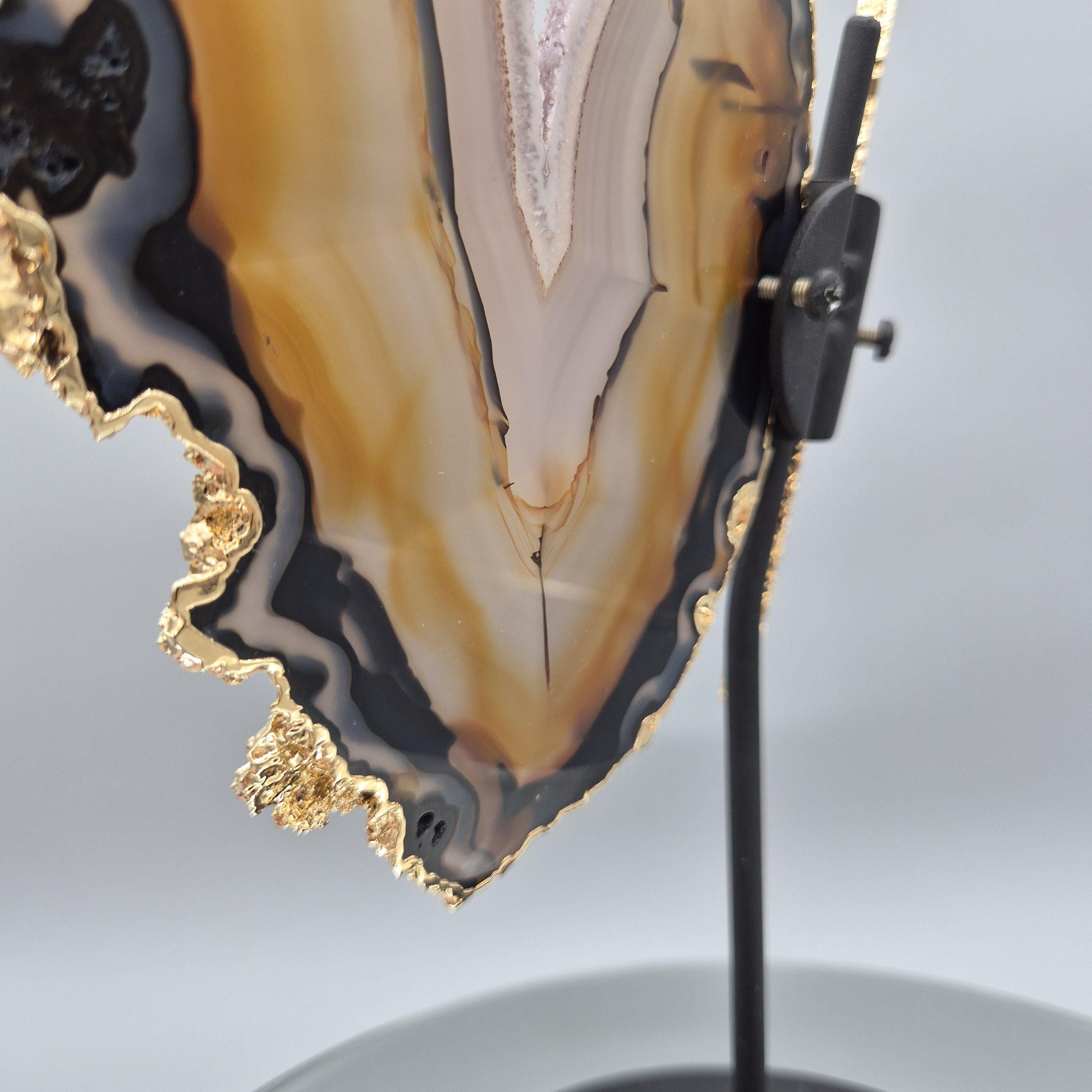 Super Rare Natural Agate Butterfly Wings with Gold Plating | Brazil Agate Sculpture | One of a Kind Crystal Display | Collector Specimen Crystal Hoarder