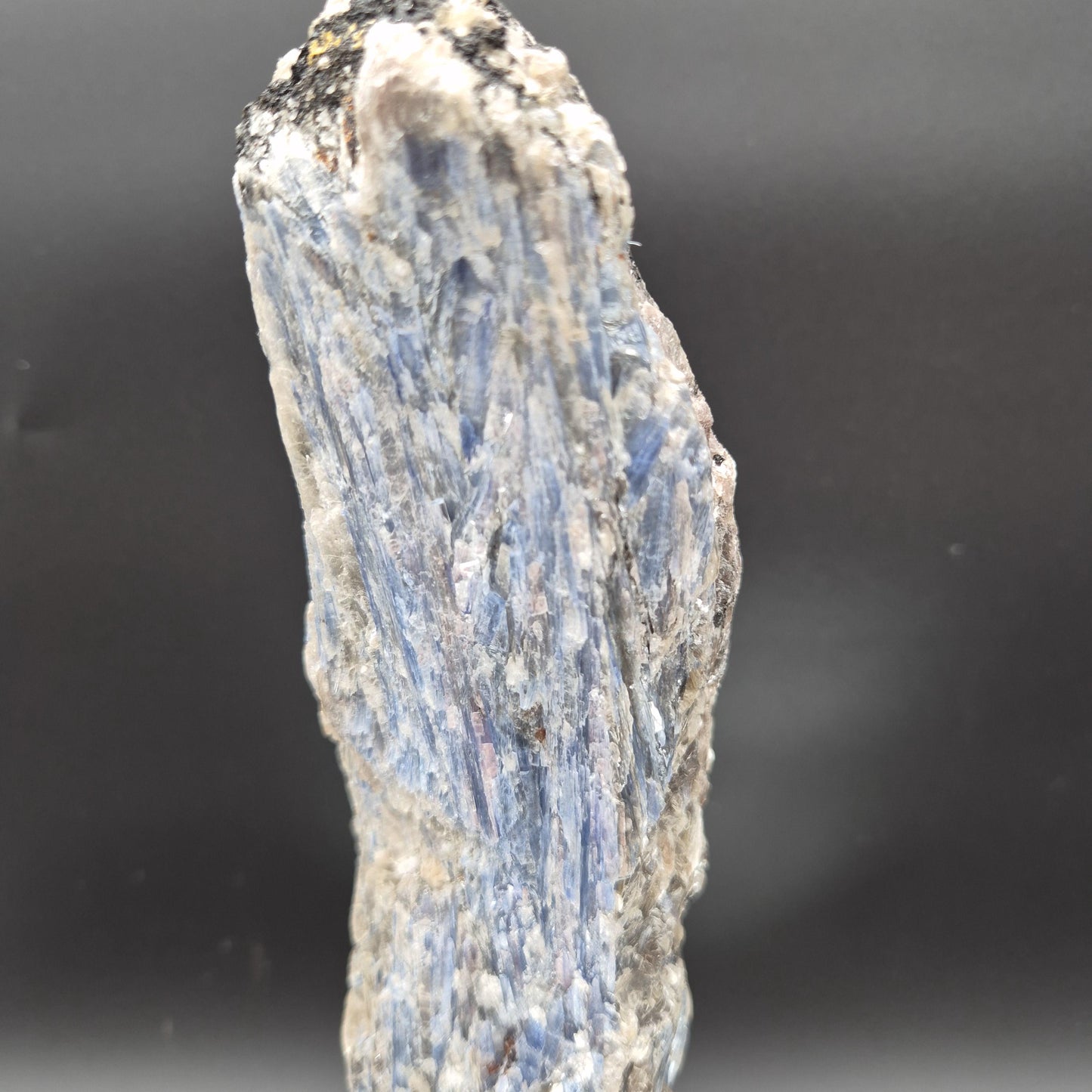 Super Rare Museum Quality Blue Kyanite with Black Hematite & Mica | Brazilian Mineral Specimen | 5 lbs Crystal Hoarder