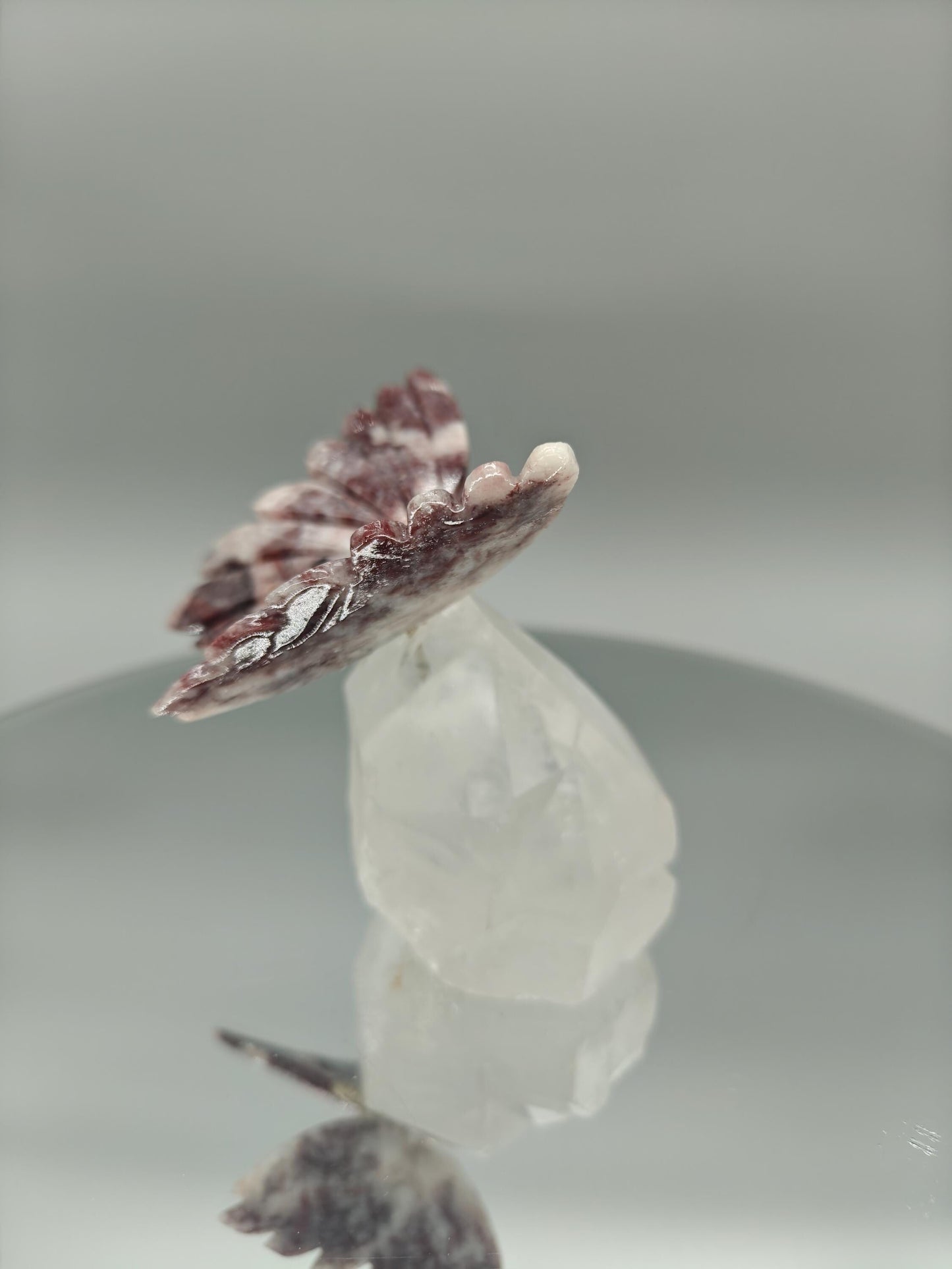 Red & Pink Jasper Butterfly on Clear Quartz Point - Brazil - 4 x 3.5in - 10.45 oz Crystal Hoarder