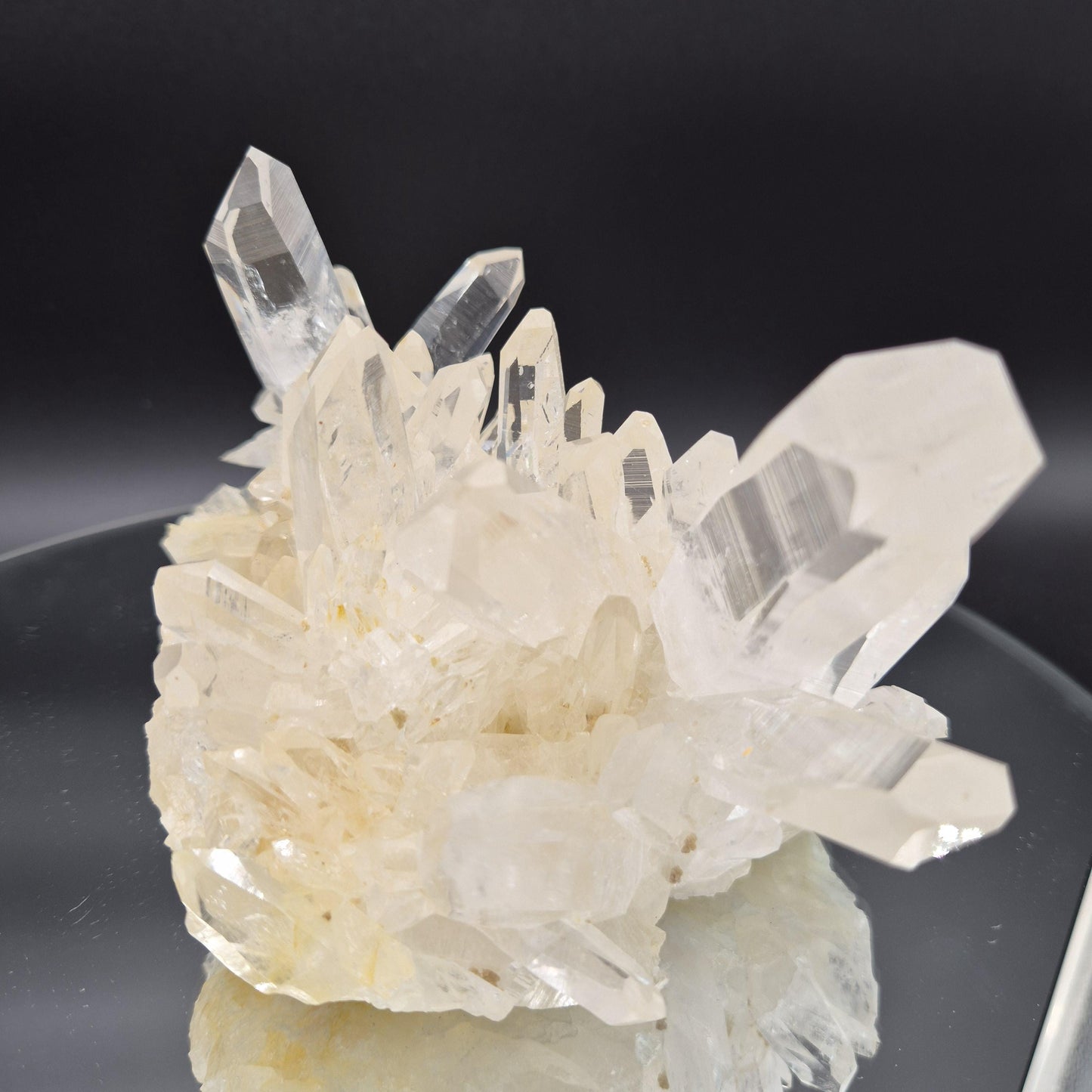 Museum Grade AAA+ Golden Healer Water Clear Lemurian Quartz Cluster 7x4x4 2.91 lbs Colombia Crystal Hoarder