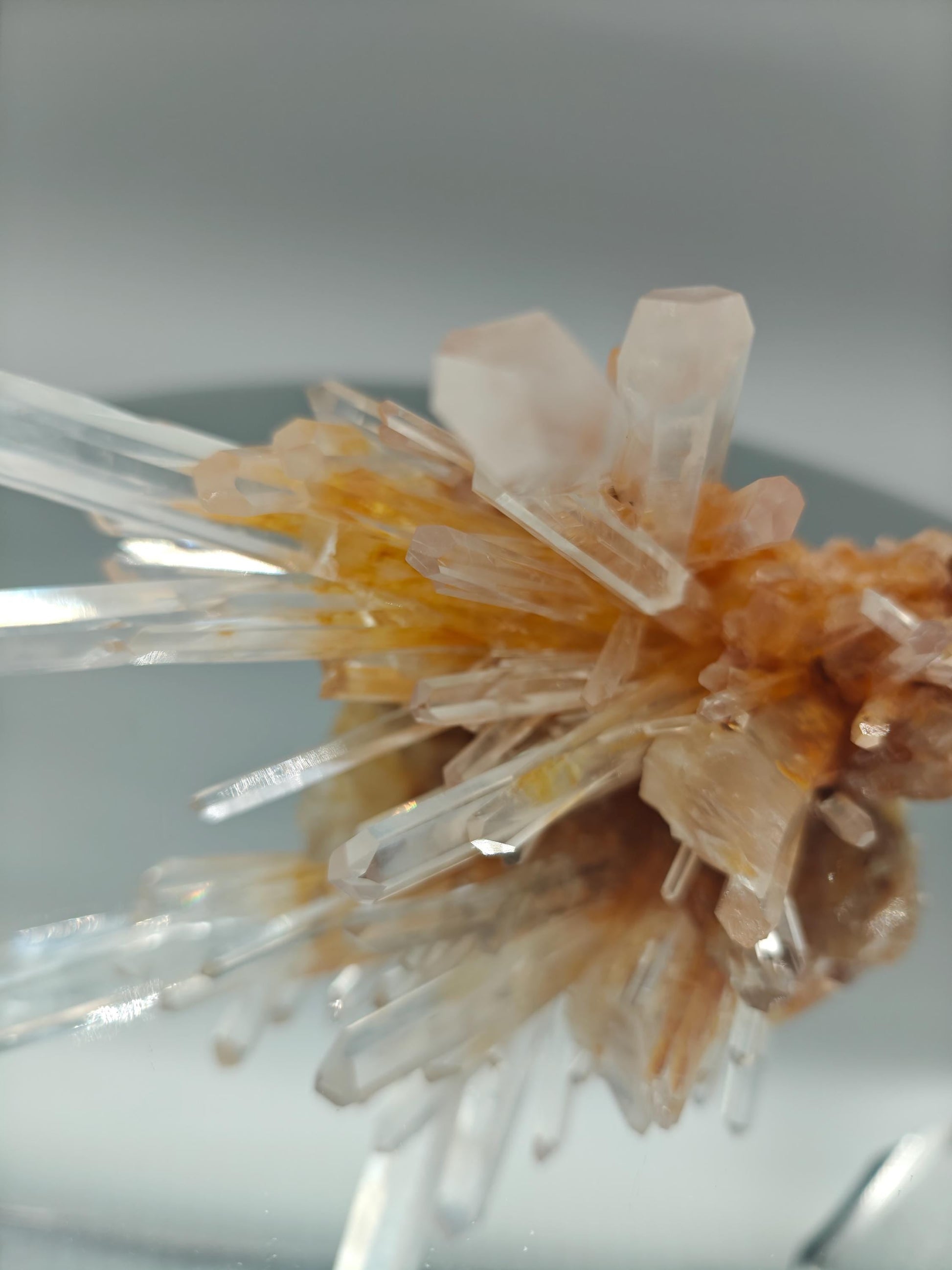 AAA+ Blue Smoke Golden Healer Lemurian Needle Cluster - Milton Mine, Colombia - 5 x 5in - 13.1 oz - Rare Crystal Specimen Crystal Hoarder