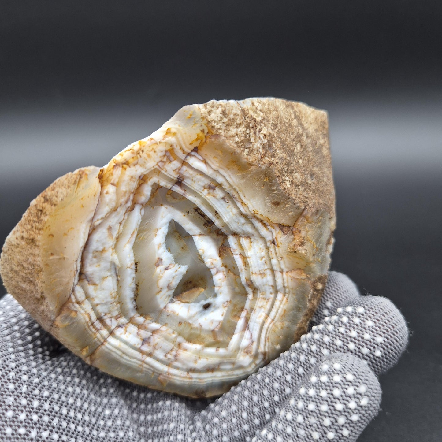 AAA+ Blue Banded Agate Geode from Uruguay 1.43 lbs Crystal Hoarder Crystal Hoarder