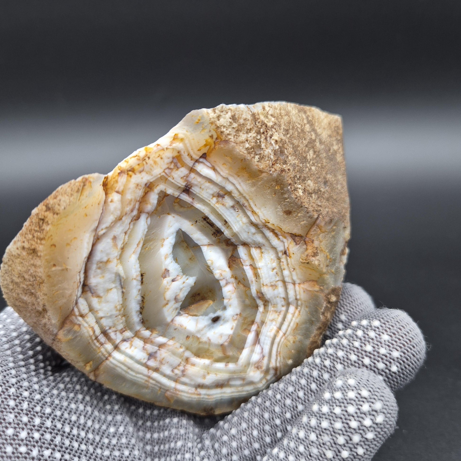 AAA+ Blue Banded Agate Geode from Uruguay 1.43 lbs Crystal Hoarder Crystal Hoarder