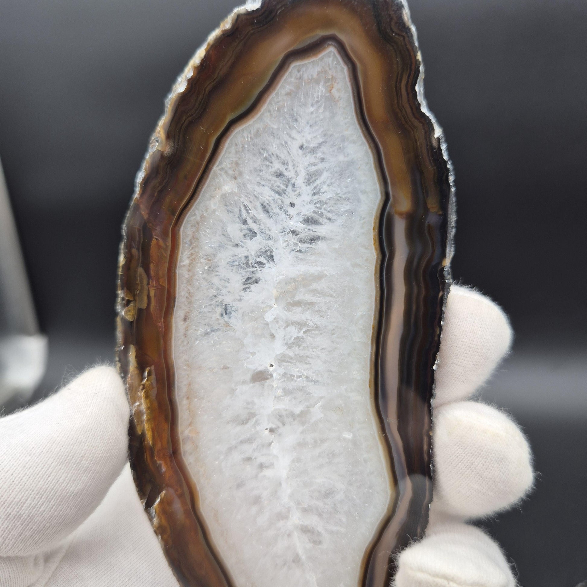 Set of 3 Agate Slices with Quartz | 4.5-6in Natural Crystal Slices | 0.55 lbs Total | Polished Banded Agate Decor Crystal Hoarder
