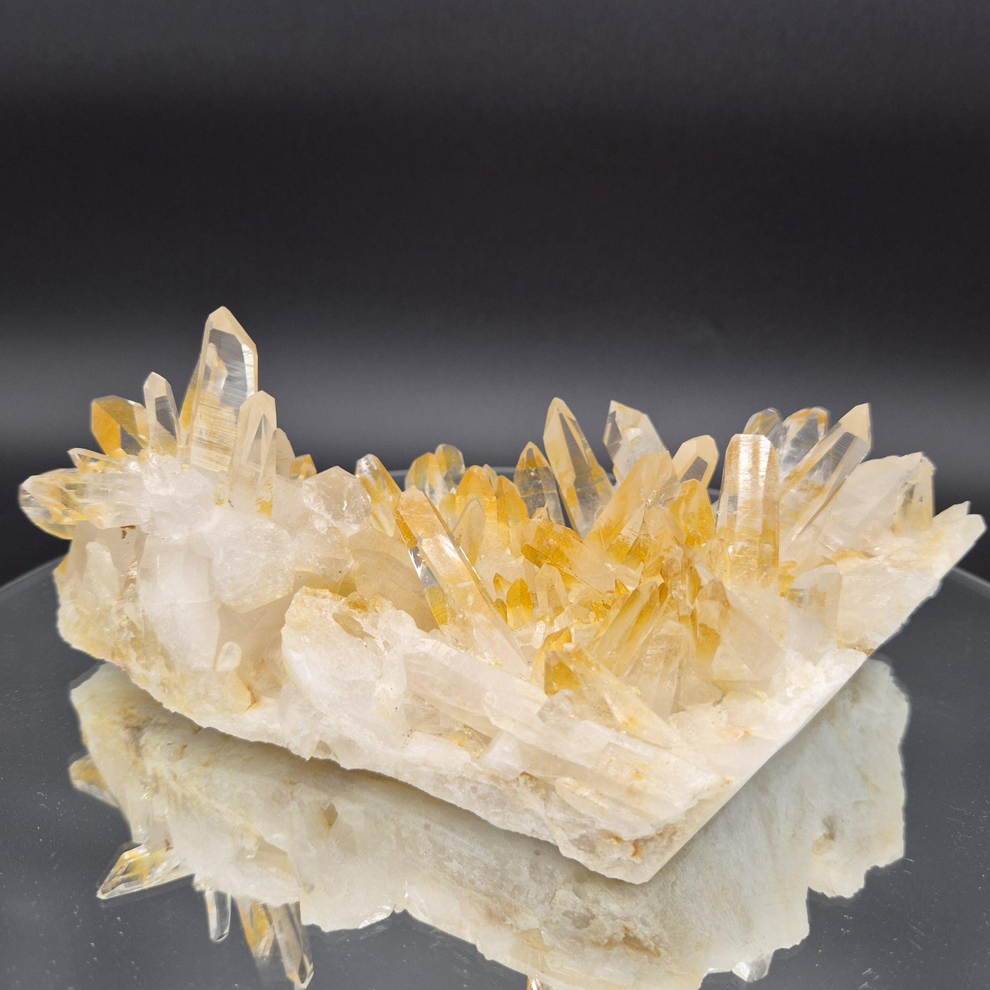 AAA+ Museum Grade Lemurian Golden Healer Quartz Cluster - Colombia | Water Clear Points | 8.5 x 4.5in | 2.55 lbs Crystal Hoarder