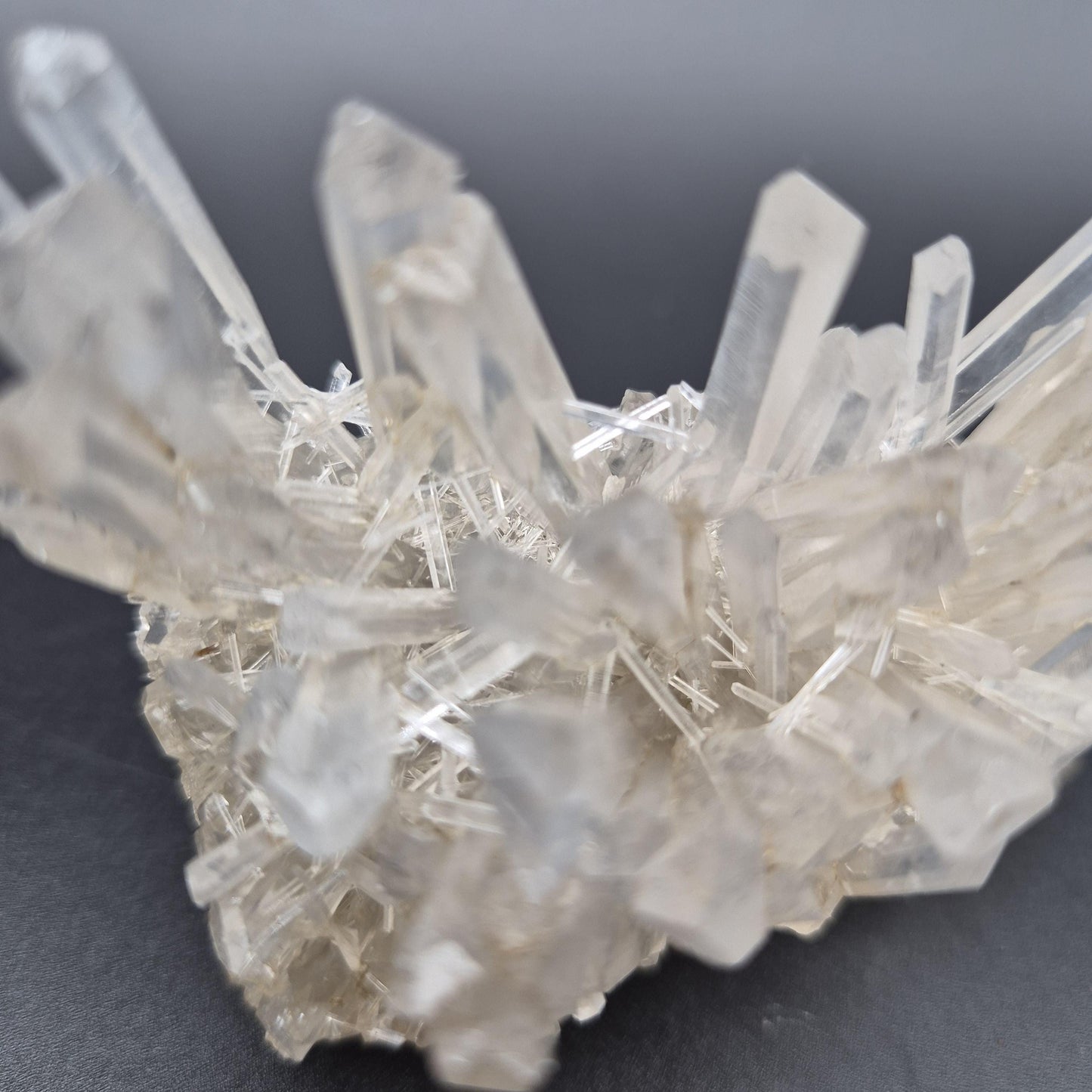 Rare AAA+ Temple Heart Starburst DOW Chrysanthemum Lemurian Quartz Cluster | Colombia | 9.28 oz Crystal Hoarder
