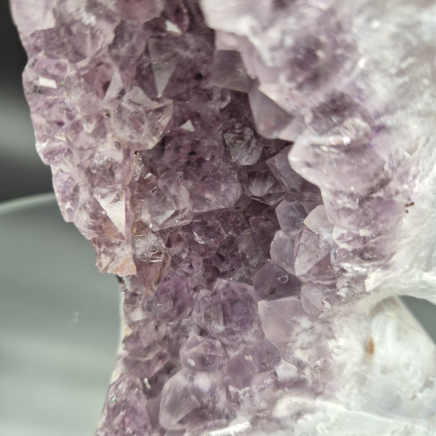 AAA+ Hand Carved Amethyst Horse - Brazilian Amethyst Sculpture - 3.77 lbs, 7 x 5in - Natural Crystal Carving Crystal Hoarder