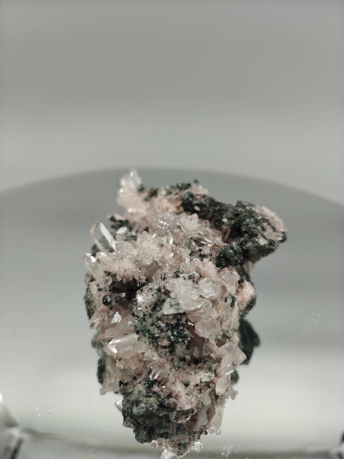 AAA+ Light Pink Lemurian Quartz Cluster on Chlorite | Water Clear Points | Rare Collector Specimen Crystal Hoarder