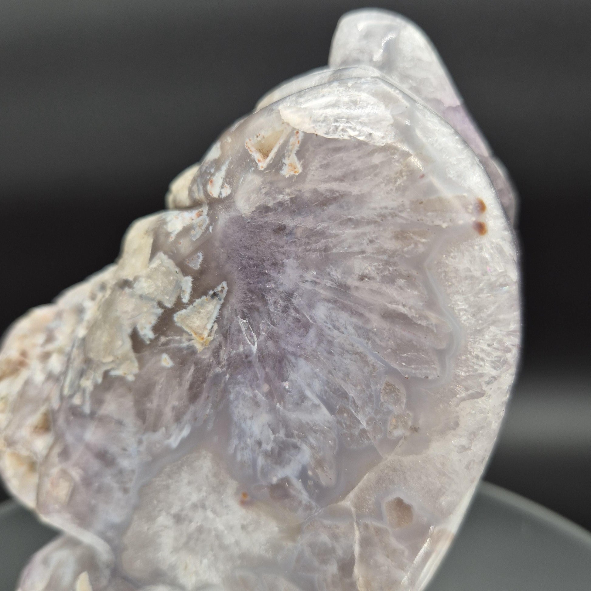 AAA+ Hand Carved Amethyst Horse - Brazilian Amethyst Sculpture - 3.77 lbs, 7 x 5in - Natural Crystal Carving Crystal Hoarder
