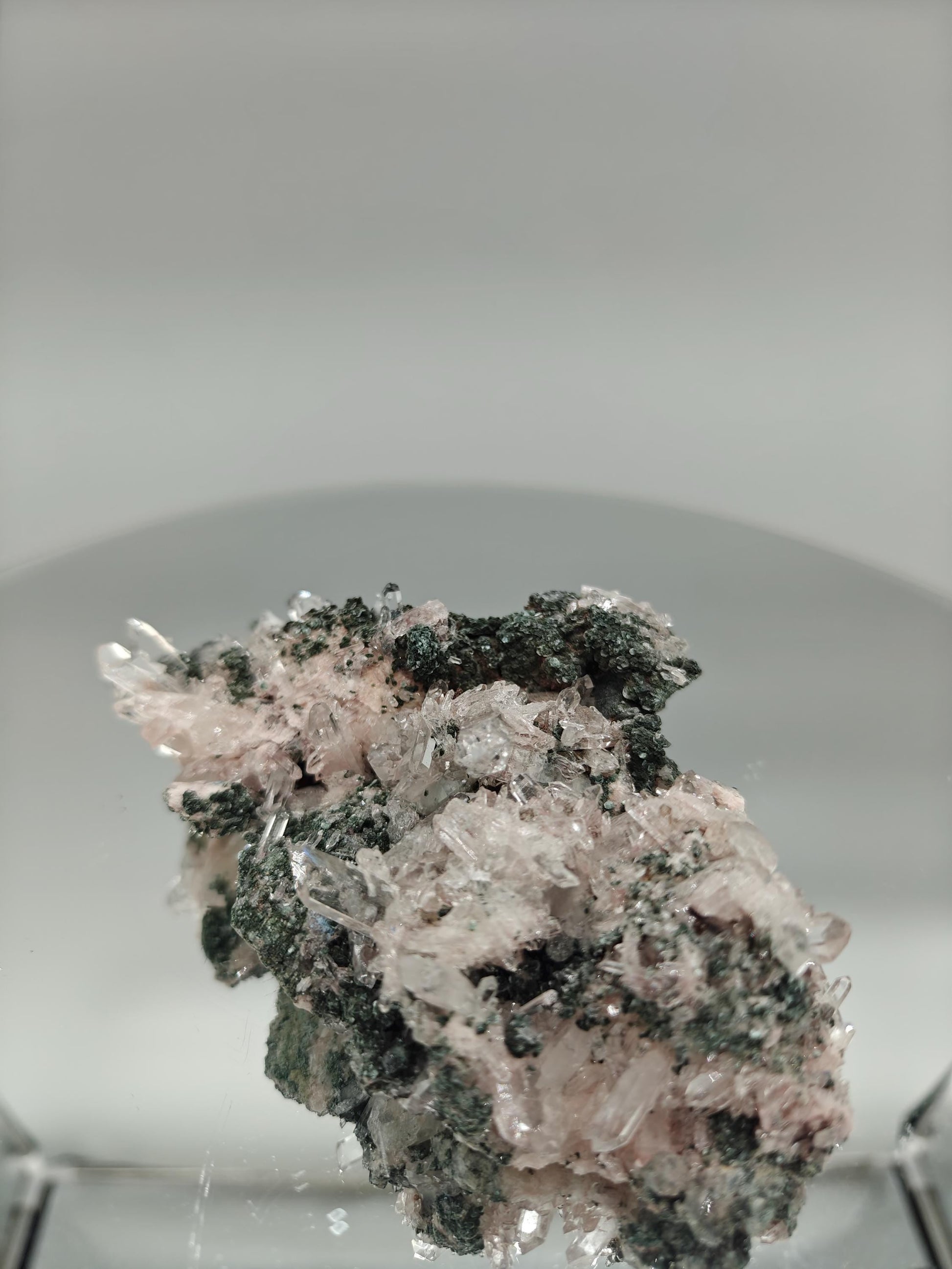AAA+ Light Pink Lemurian Quartz Cluster on Chlorite | Water Clear Points | Rare Collector Specimen Crystal Hoarder