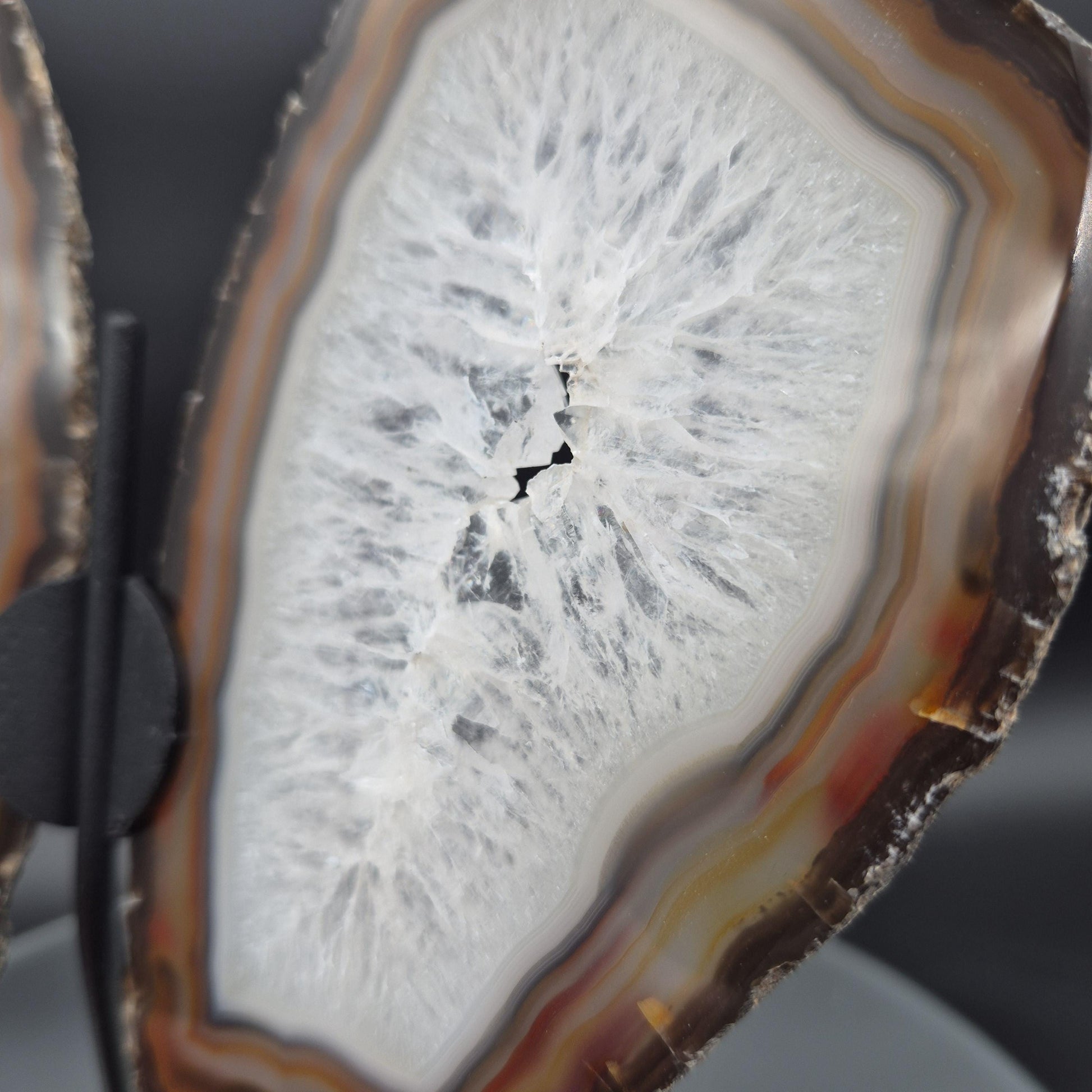 AAA+ Butterfly Agate Slice Wings with Water-Clear Quartz Points - Brazil - Natural Crystal Display - 9in x 8in - 1.09 lb Statement Specimen Crystal Hoarder