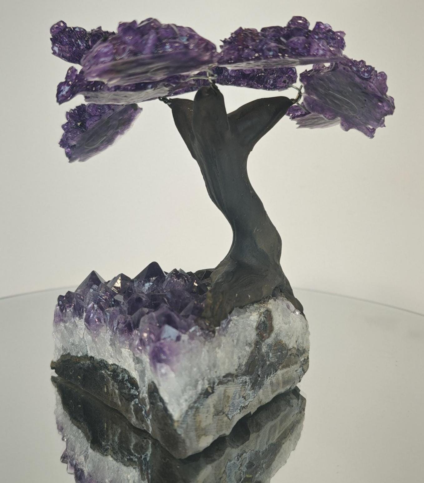 High Quality Grape Jelly Amethyst Tree on Cluster -  Product of Uruguay Crystal Hoarder