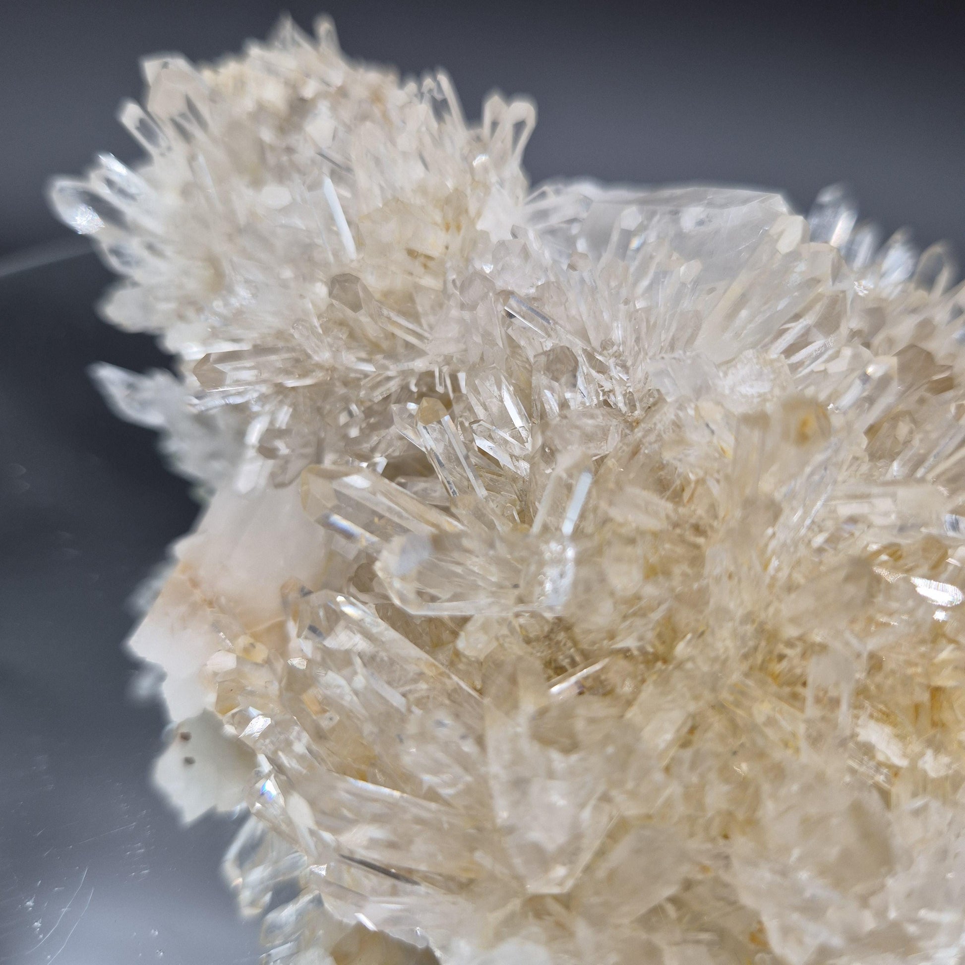 AAA+ Museum Quality Lemurian Quartz Cluster with Chlorite, Golden Healer & Double Terminated Tantric Point | 1.47 lbs Crystal Hoarder