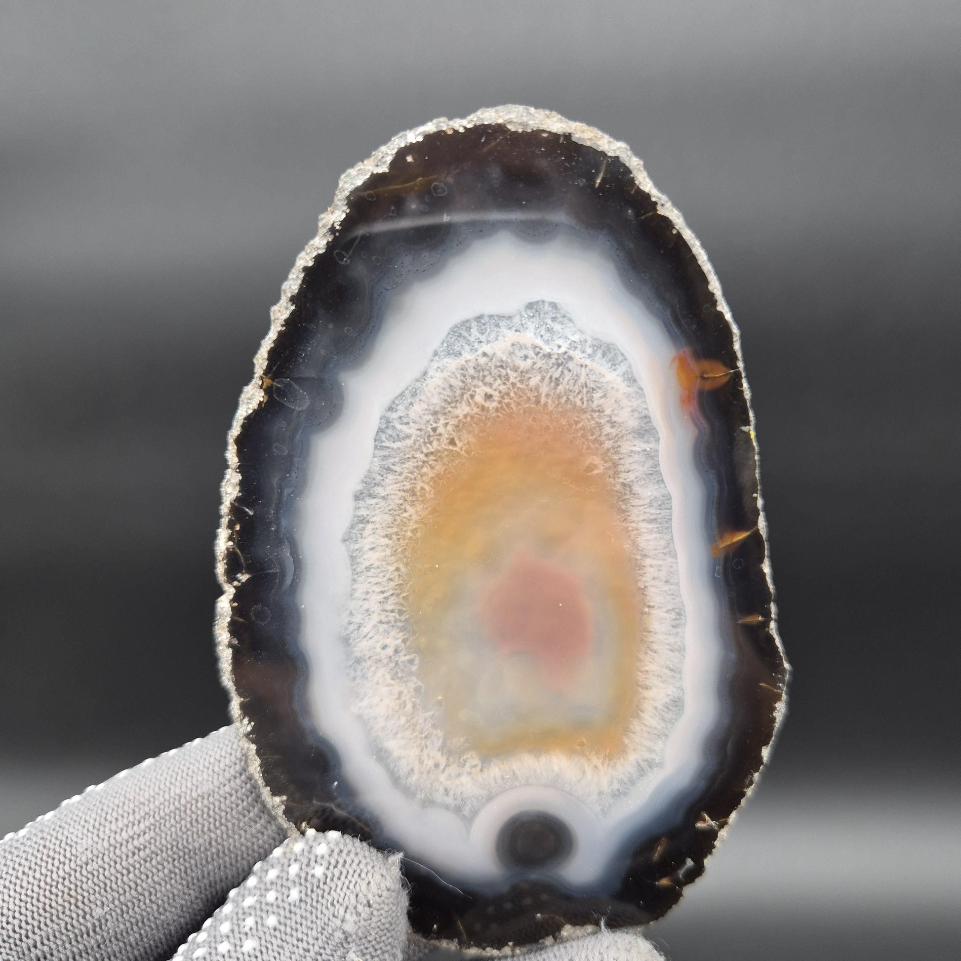 AAA Translucent Agate Slices with Carnelian - Set of 3 | 4.5in–5.5in Natural Druzy Quartz | 0.61 lbs Crystal Hoarder