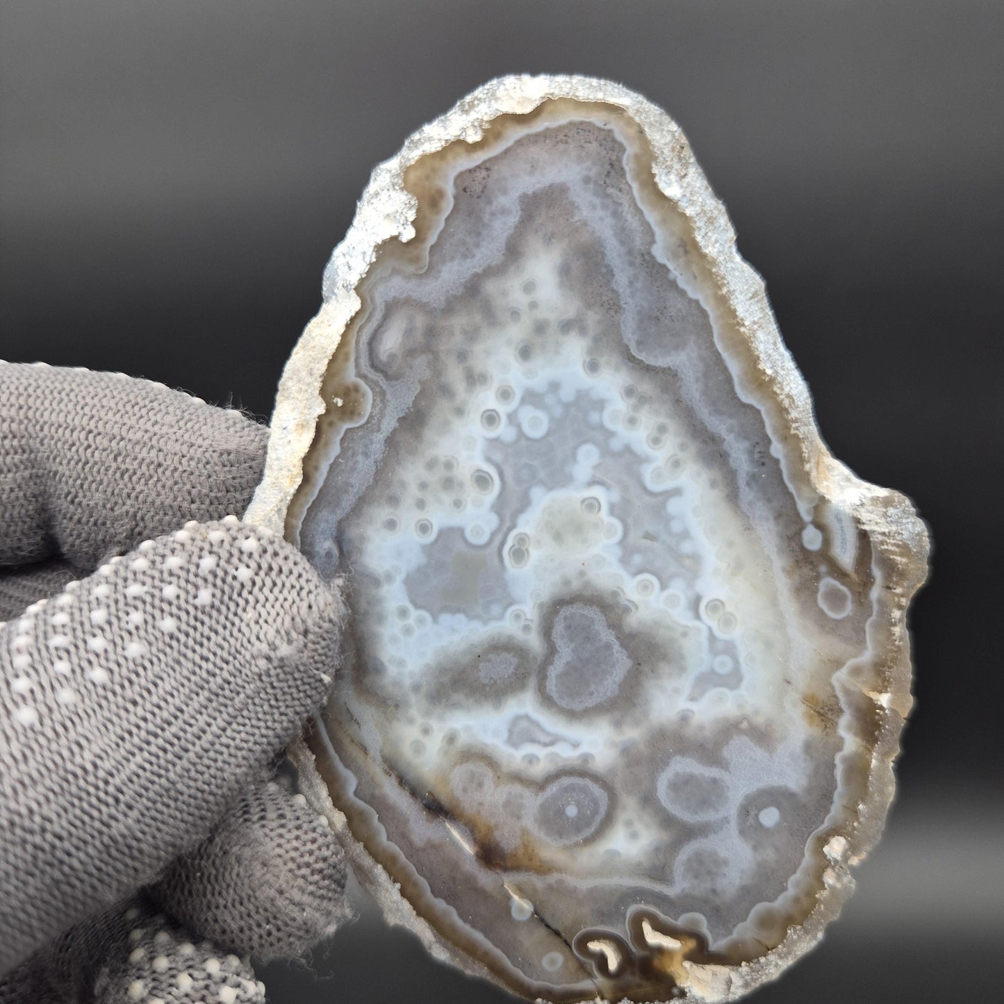 Natural Translucent Agate Slices - Set of 3 | 4in, 4.5in, 5in | Polished Quartz Crystal Decor | 0.55 lbs Crystal Hoarder