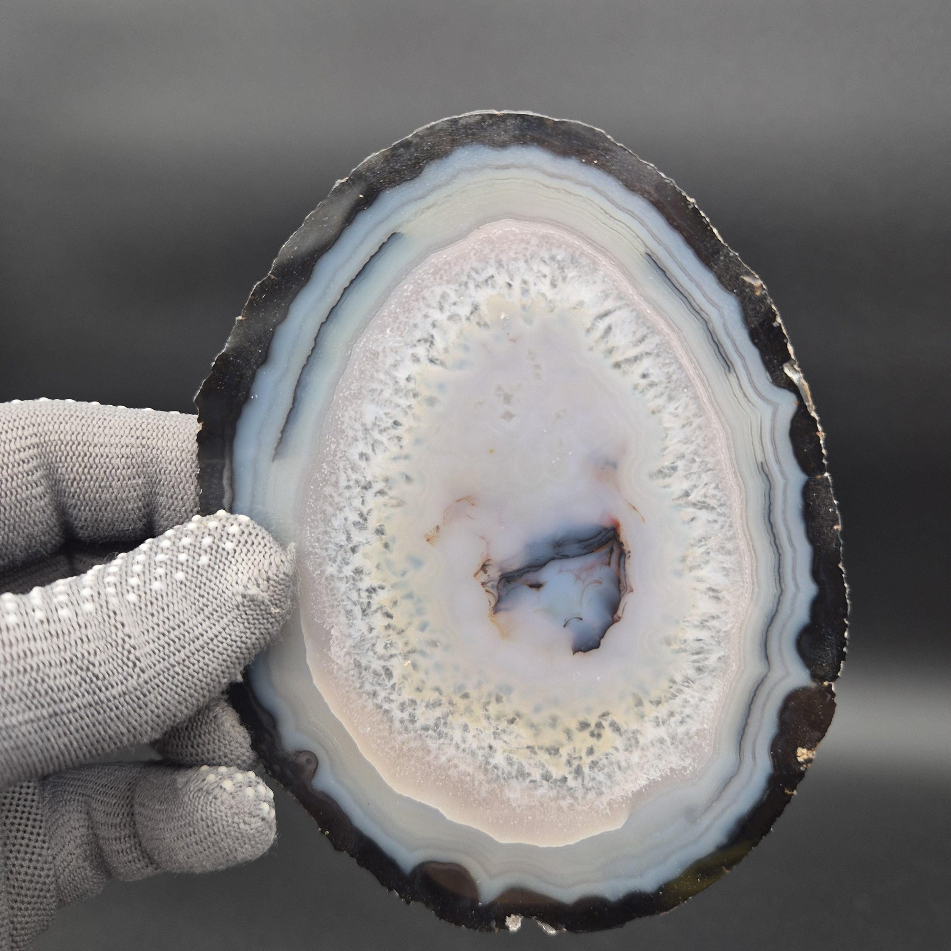 Natural Agate Slices - Set of 3 | 4in, 4.5in, 5in Translucent Quartz | 0.64 lbs | Polished Crystal Decor Crystal Hoarder