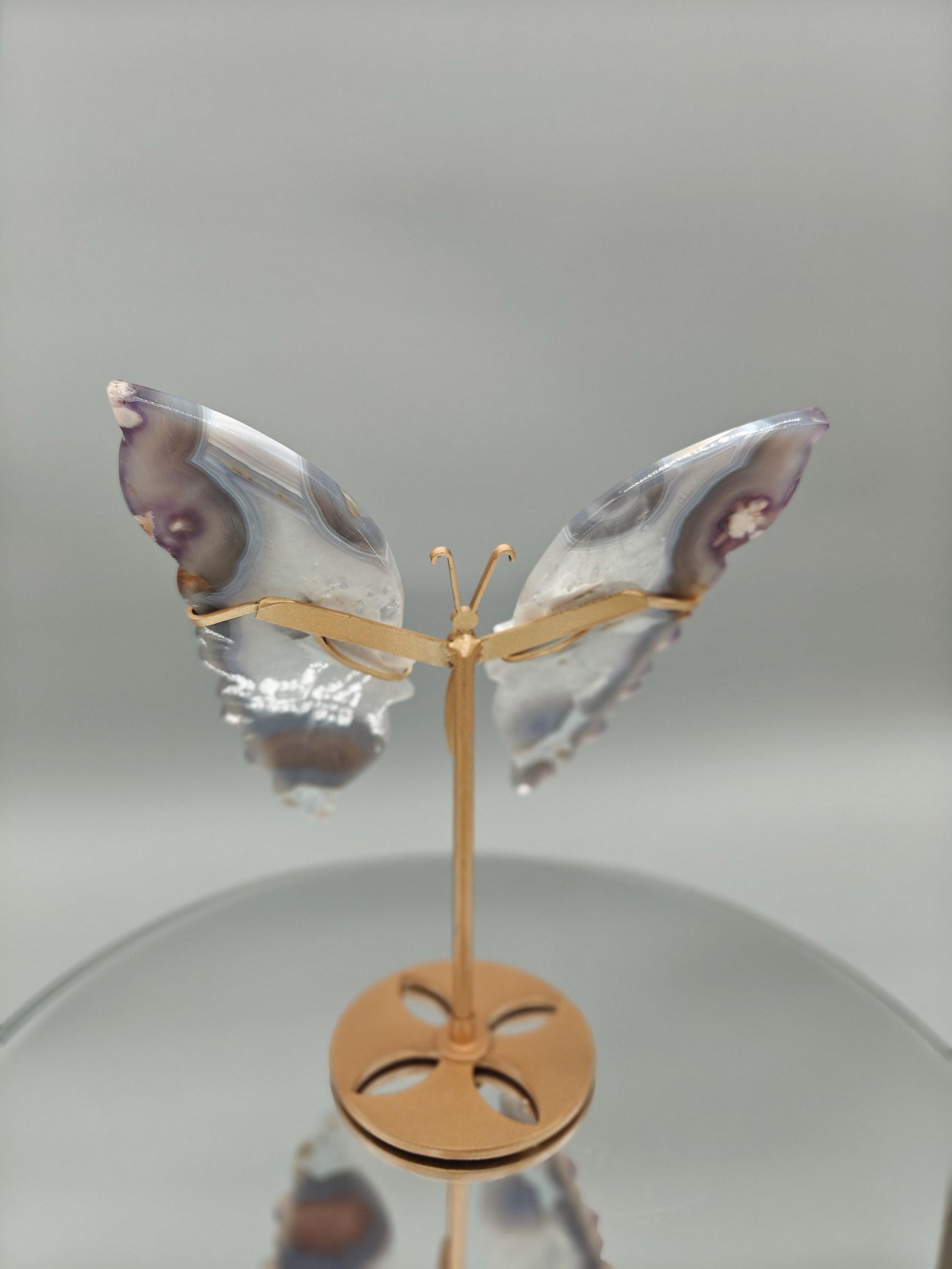 AAA+ Perfect Black Flower Agate Butterfly on Stand - Backlit Display - 8 x 6.5in - 12.45 oz - Unique Crystal Decor Crystal Hoarder
