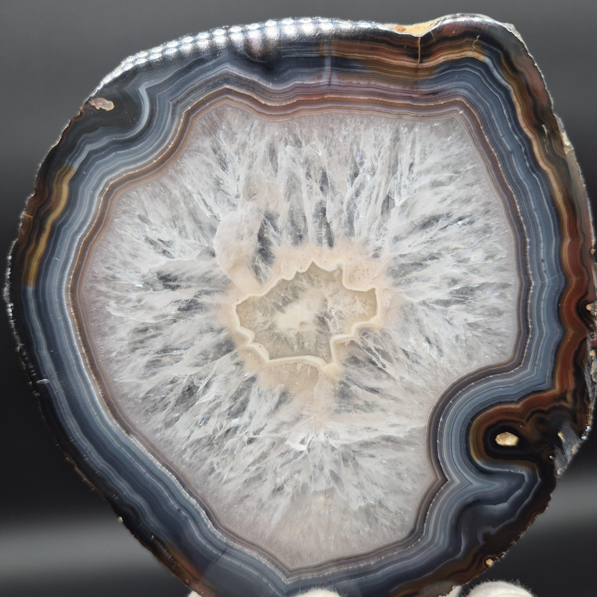 AAA+ Rare Agate Slice Set of 7 | 3.5-5in Large Quartz Crystal Centers | 2.44 lbs Natural Banded Agate | Collector Grade Statement Pieces Crystal Hoarder