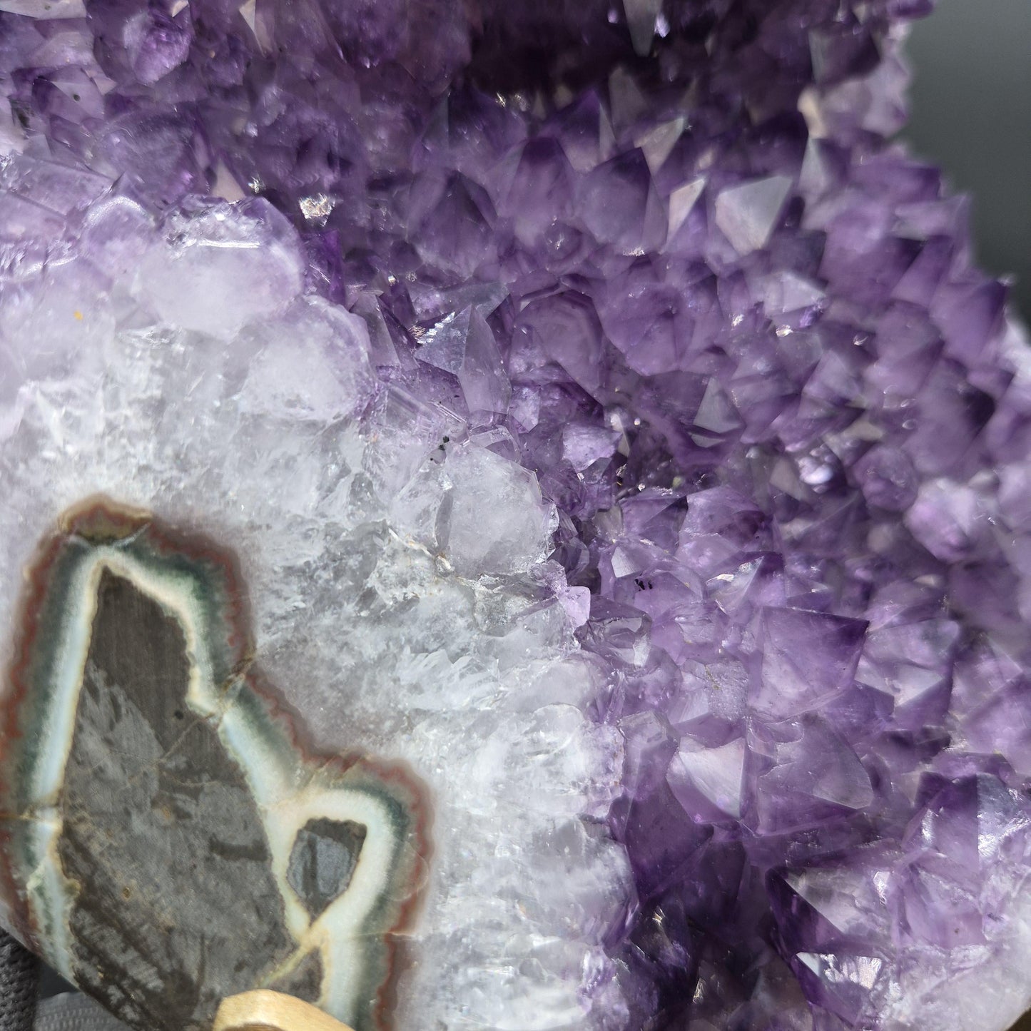 AAA+ Amethyst Cluster on Stand 11x6x6 10.69 lbs Brazil Crystal Hoarder