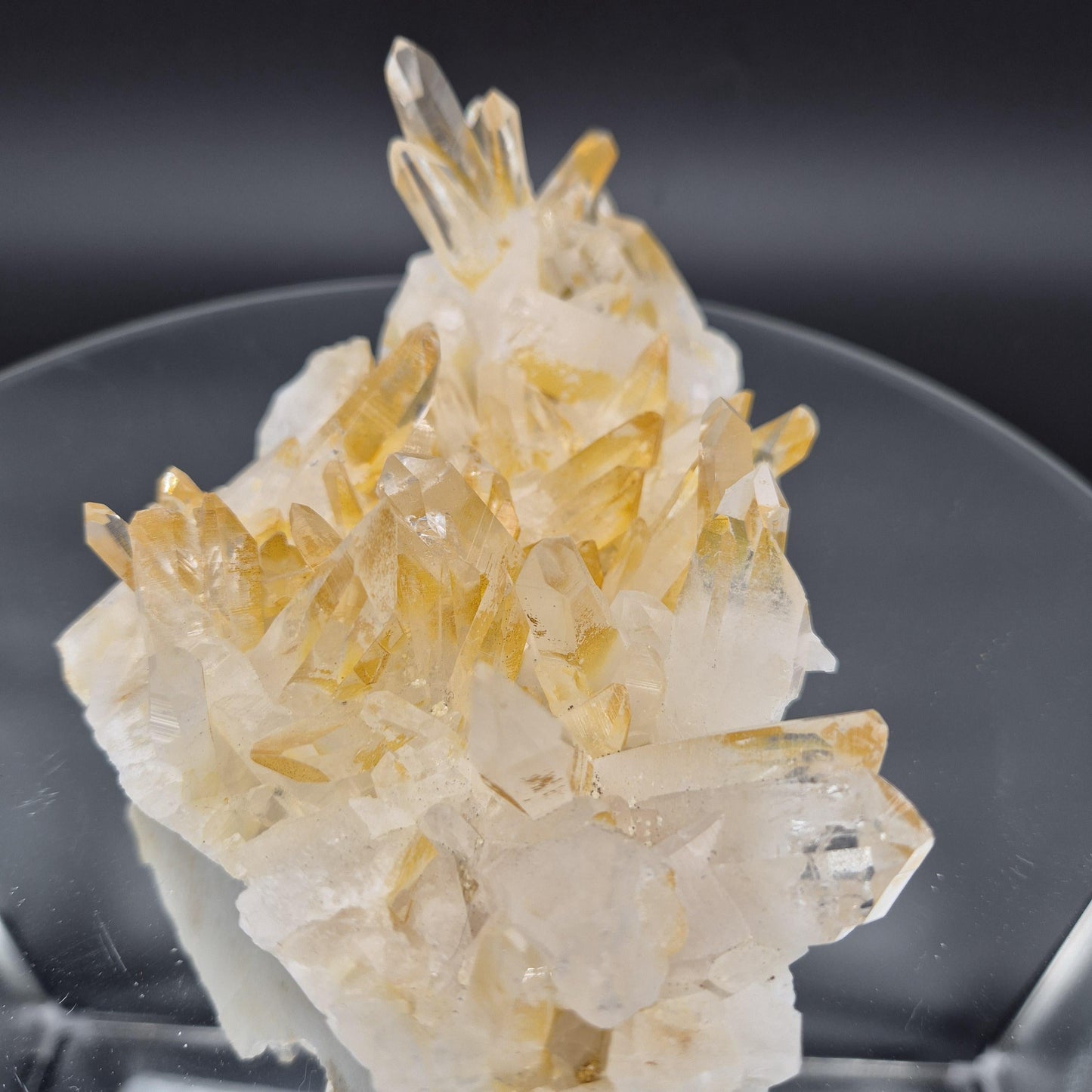AAA+ Museum Grade Lemurian Golden Healer Quartz Cluster - Colombia | Water Clear Points | 8.5 x 4.5in | 2.55 lbs Crystal Hoarder