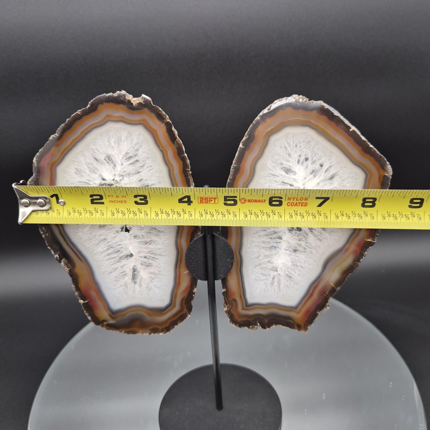 AAA+ Butterfly Agate Slice Wings with Water-Clear Quartz Points - Brazil - Natural Crystal Display - 9in x 8in - 1.09 lb Statement Specimen Crystal Hoarder