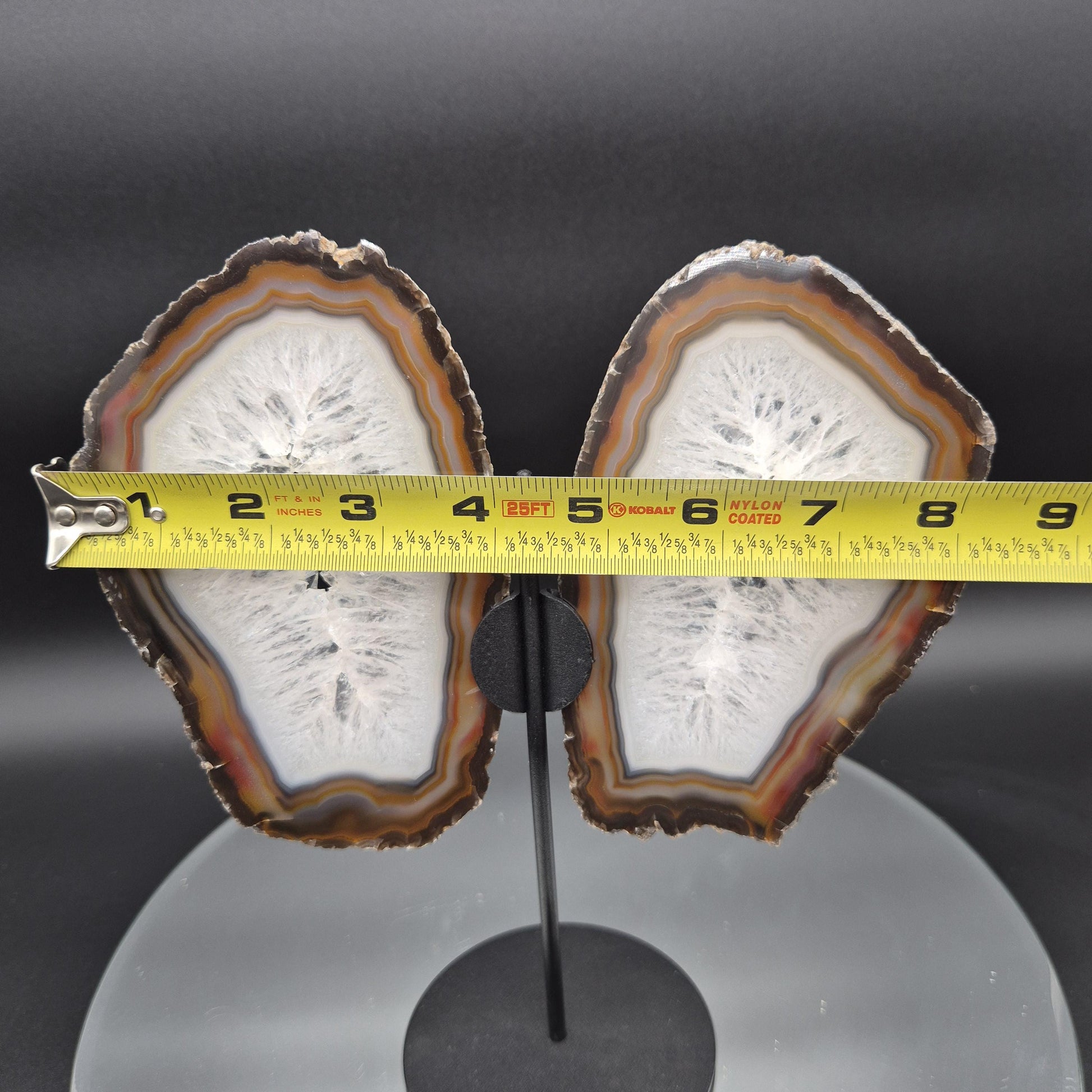 AAA+ Butterfly Agate Slice Wings with Water-Clear Quartz Points - Brazil - Natural Crystal Display - 9in x 8in - 1.09 lb Statement Specimen Crystal Hoarder
