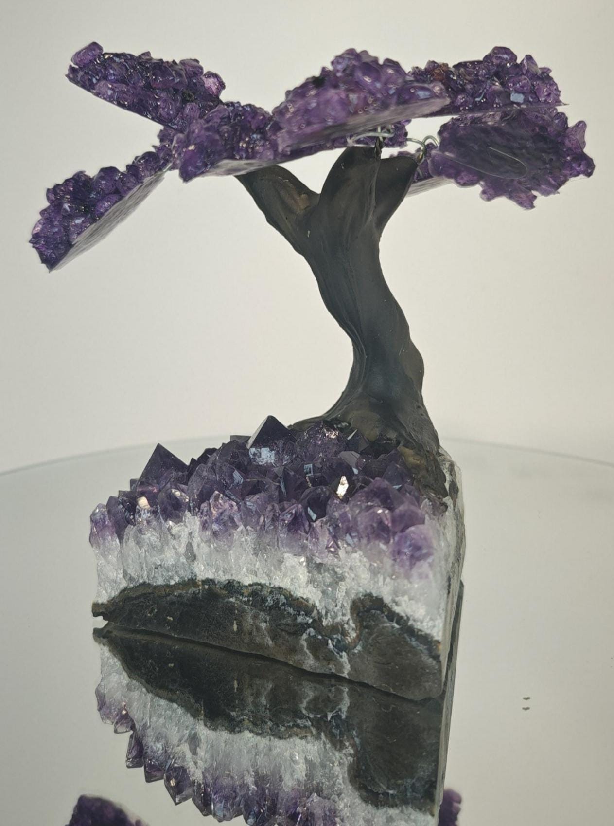 High Quality Grape Jelly Amethyst Tree on Cluster -  Product of Uruguay Crystal Hoarder