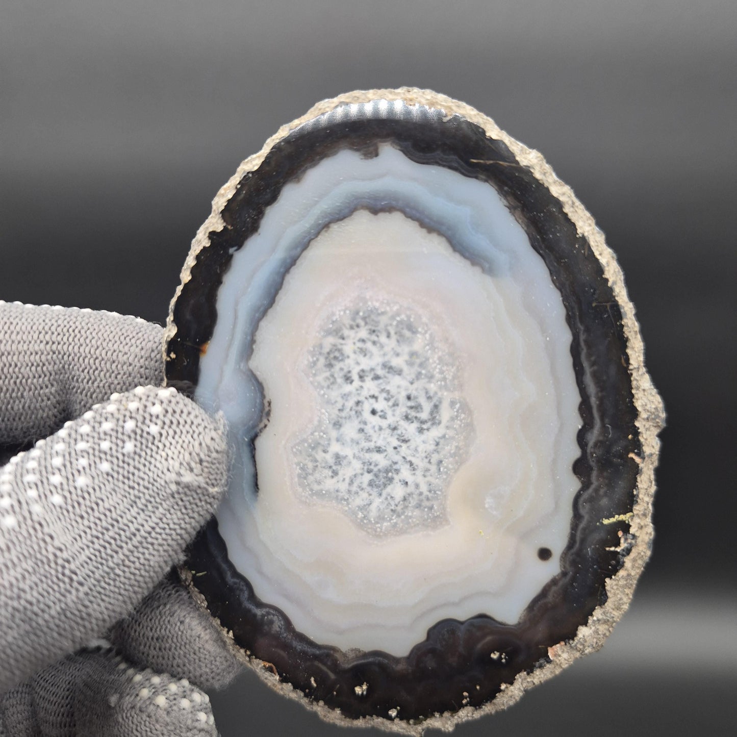 Natural Agate Slices - Set of 3 | 4in, 4.5in, 5in Translucent Quartz | 0.64 lbs | Polished Crystal Decor Crystal Hoarder