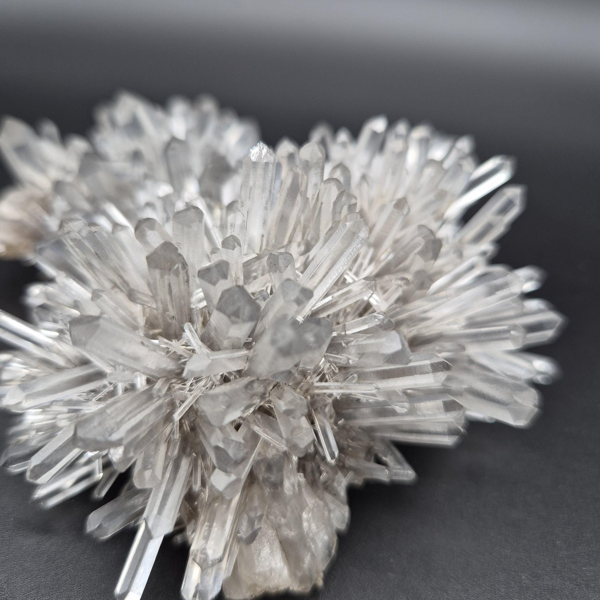 Rare DOW Chrysanthemum Lemurian Quartz Cluster with Pyrite Colombia 0.81 lbs Crystal Hoarder Crystal Hoarder