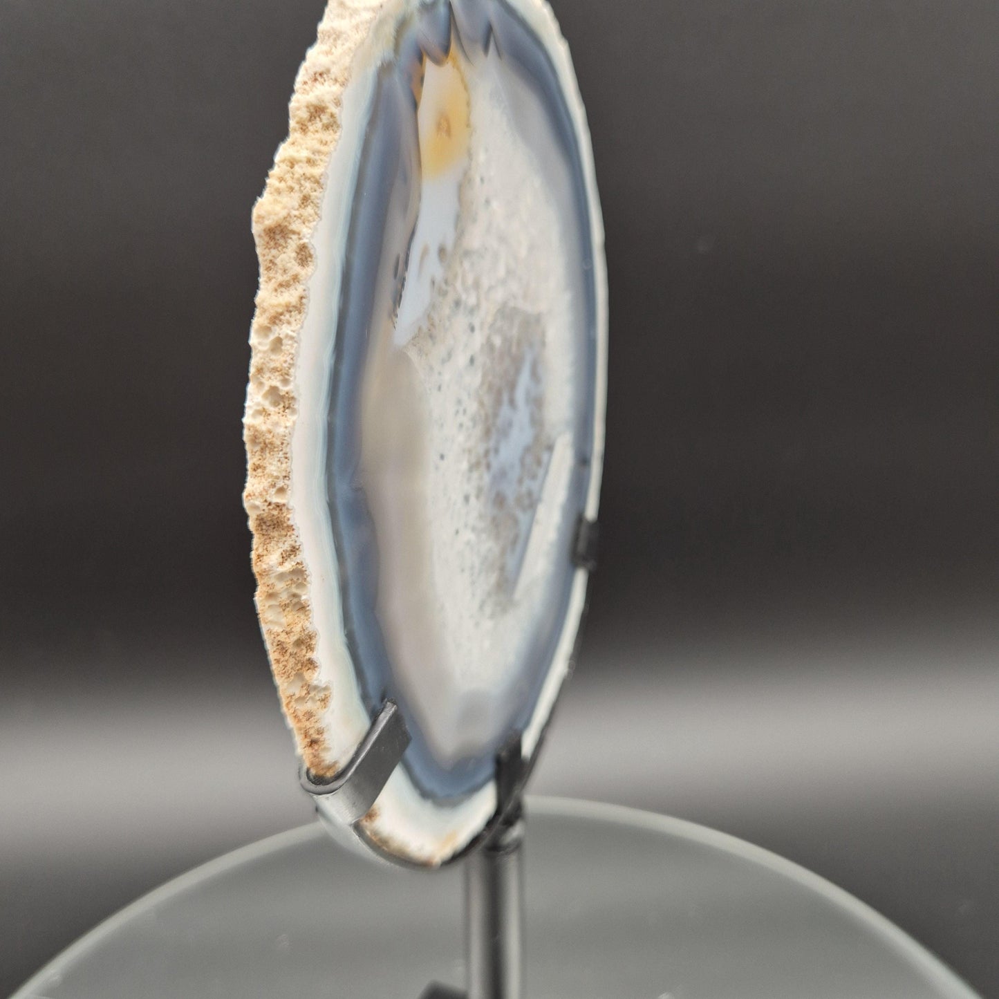 AAA+ Super Rare White and Dark Blue Agate Slice with Quartz Brazil 1.03 lbs Crystal Hoarder