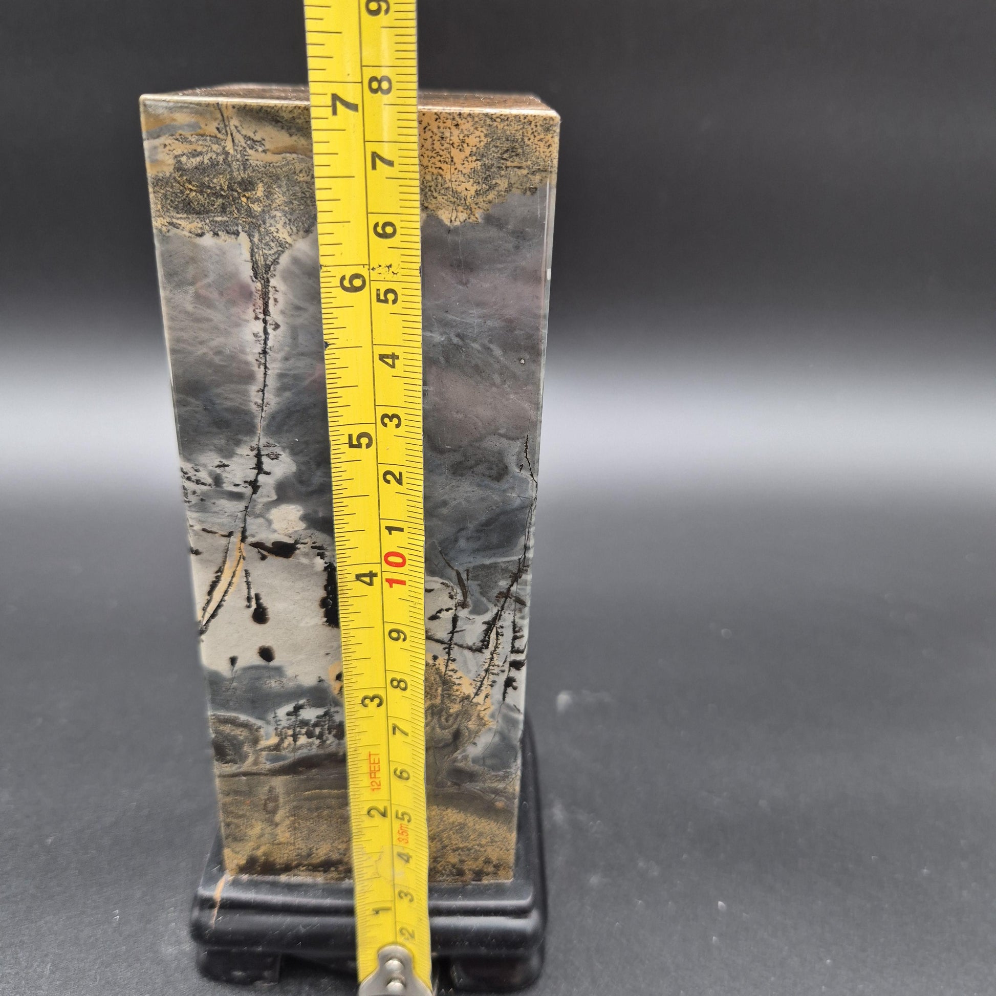 AAA+ Picture Jasper on Wood Base | Dark Gray & Earth Tones Natural Scenic Stone | 3.48 lbs Crystal Hoarder