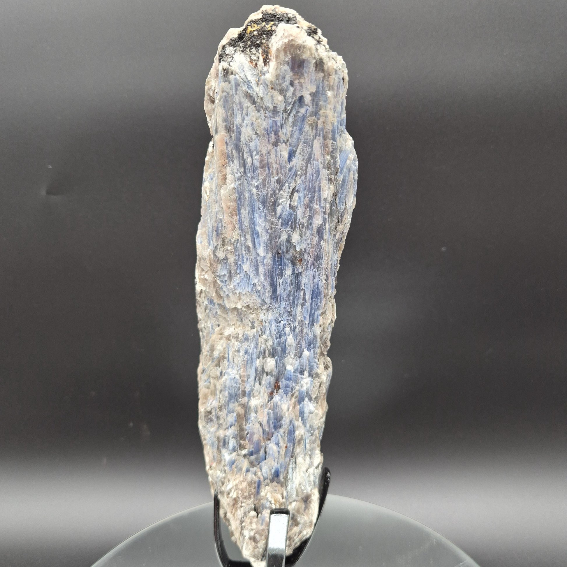 Super Rare Museum Quality Blue Kyanite with Black Hematite & Mica | Brazilian Mineral Specimen | 5 lbs Crystal Hoarder