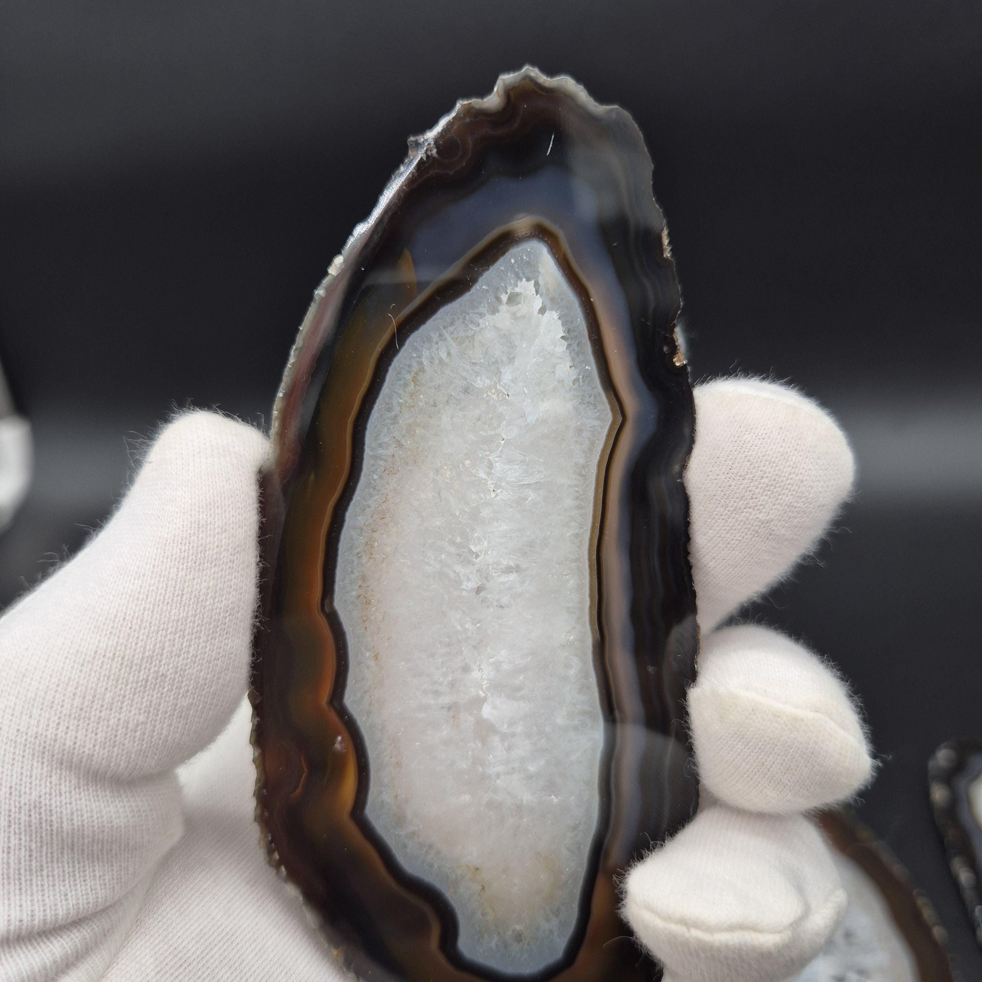 Set of 3 Agate Slices with Quartz | 4.5-6in Natural Crystal Slices | 0.55 lbs Total | Polished Banded Agate Decor Crystal Hoarder
