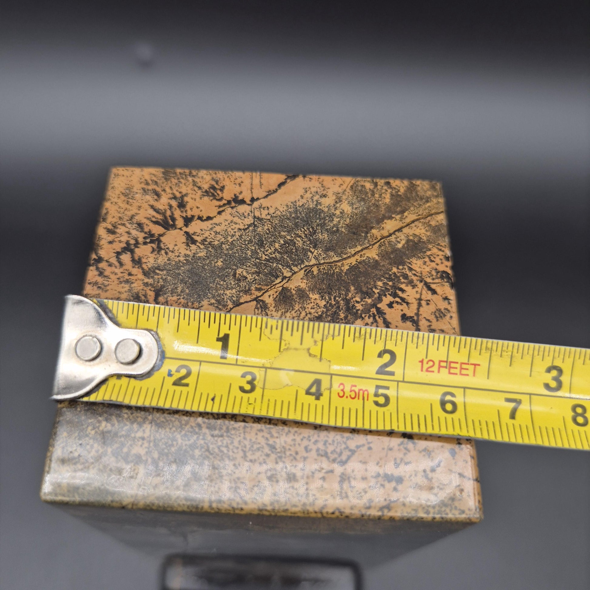 AAA+ Picture Jasper on Wood Base | Dark Gray & Earth Tones Natural Scenic Stone | 3.48 lbs Crystal Hoarder