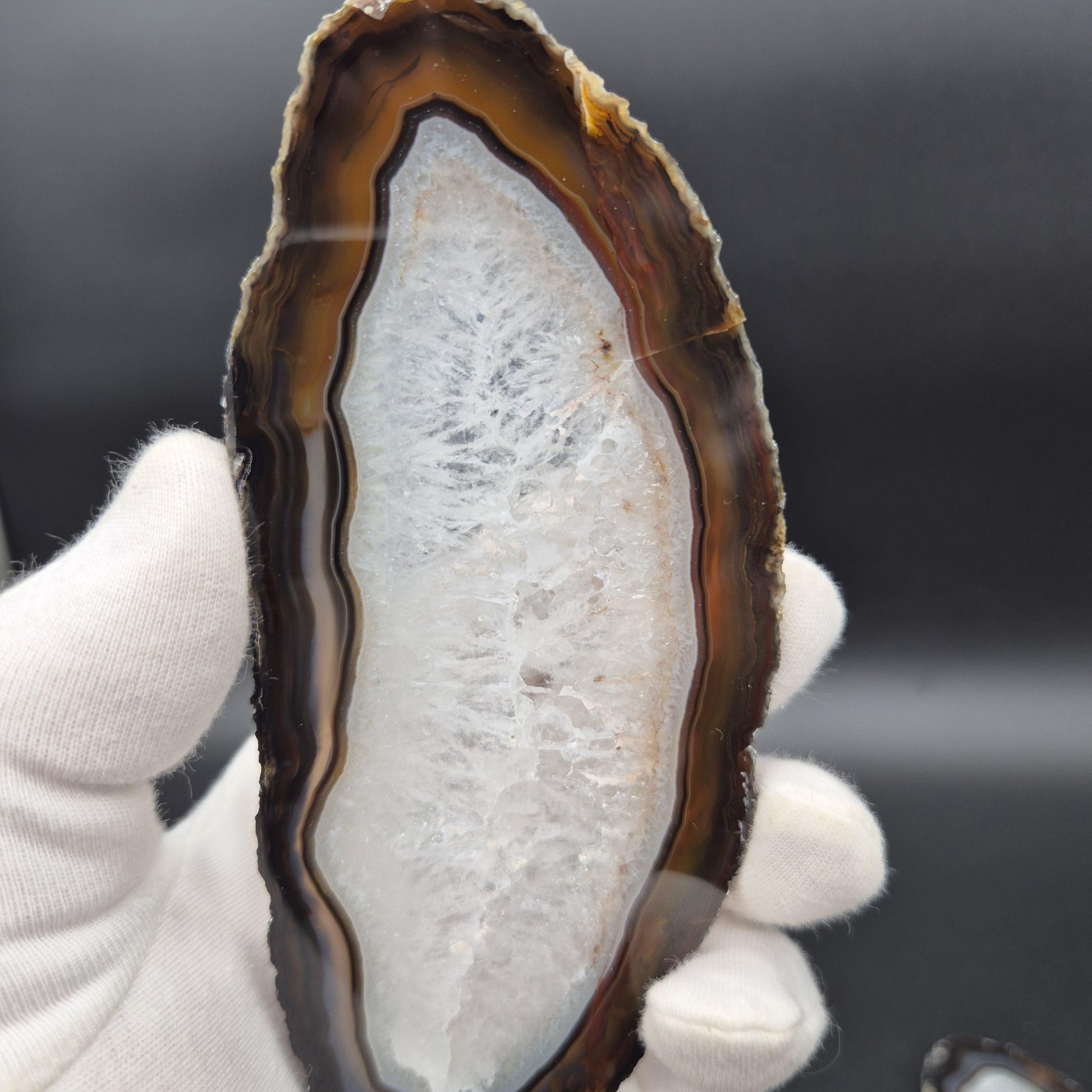 Set of 3 Agate Slices with Quartz | 4.5-6in Natural Crystal Slices | 0.55 lbs Total | Polished Banded Agate Decor Crystal Hoarder