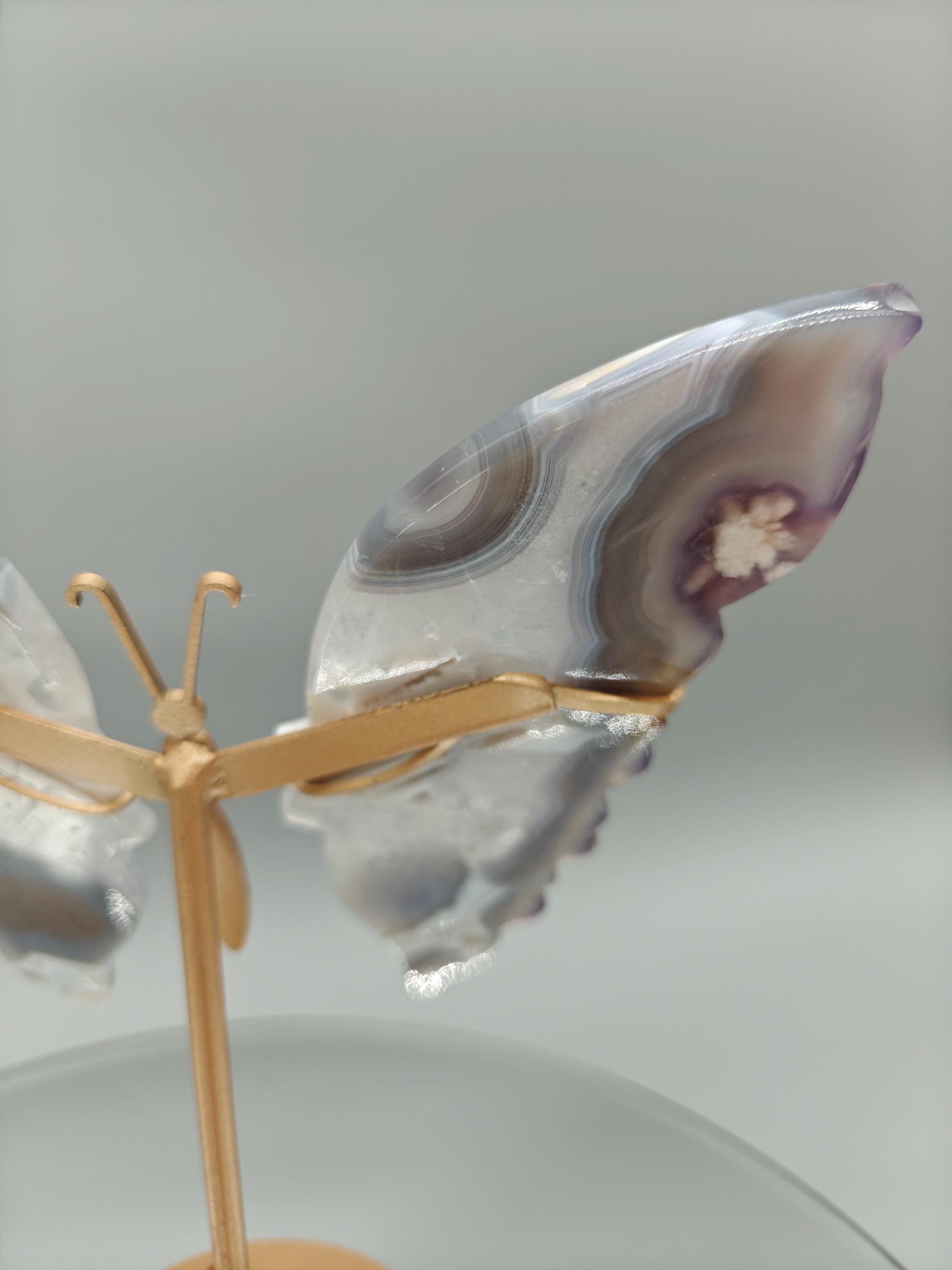 AAA+ Perfect Black Flower Agate Butterfly on Stand - Backlit Display - 8 x 6.5in - 12.45 oz - Unique Crystal Decor Crystal Hoarder