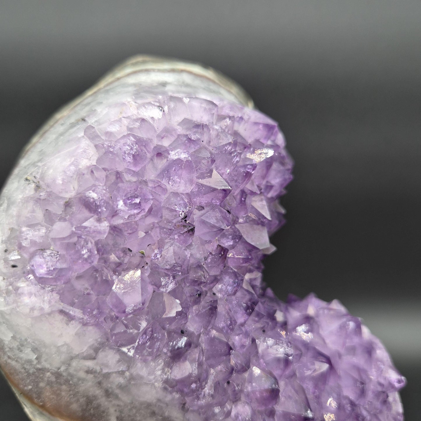 AAA+ Amethyst Cluster on Stand 11x6x6 10.69 lbs Brazil Crystal Hoarder