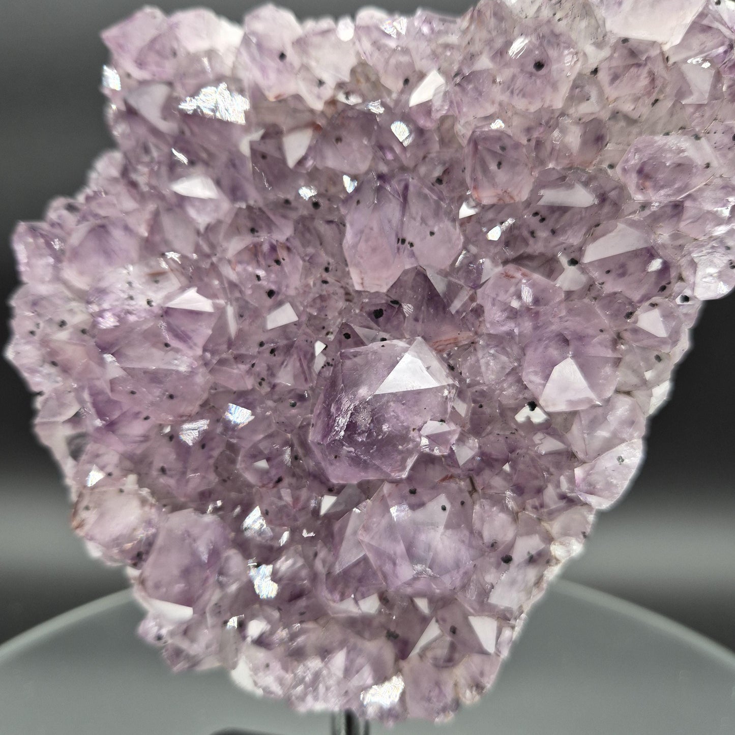 Amethyst on Stand with Hematite Brazil Crystal Specimen 3.42 lb 8x5.5x2.5 Display Piece Crystal Hoarder