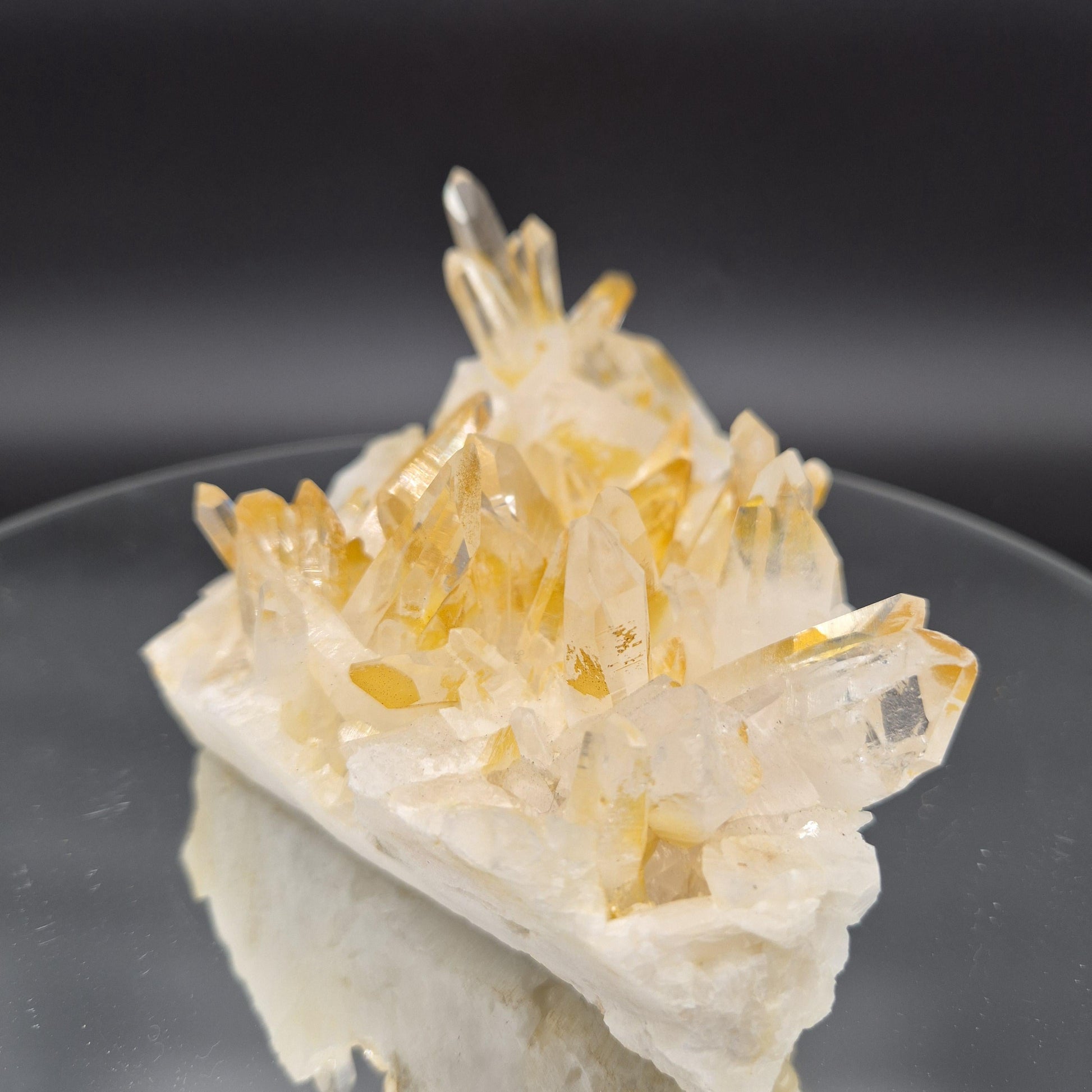 AAA+ Museum Grade Lemurian Golden Healer Quartz Cluster - Colombia | Water Clear Points | 8.5 x 4.5in | 2.55 lbs Crystal Hoarder